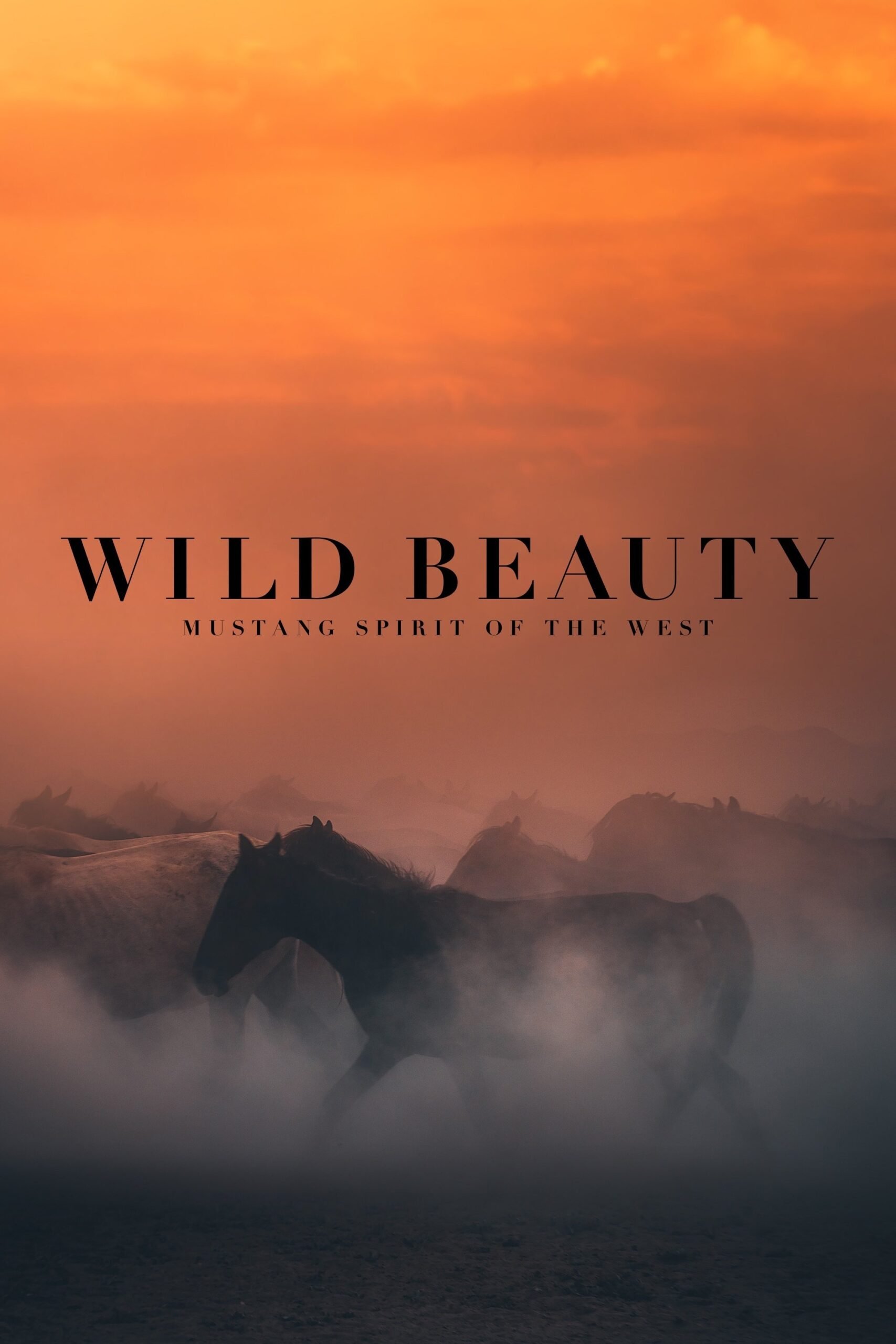 Bedford Playhouse - Wild Beauty