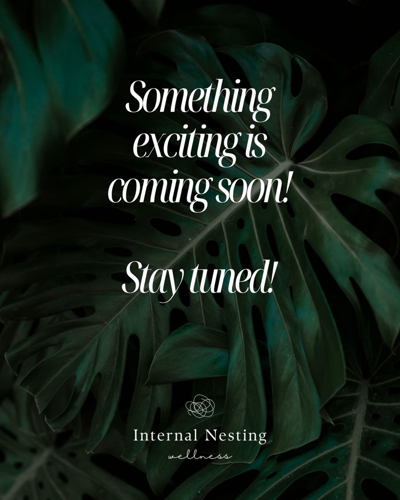Something exciting is coming to Internal Nesting very soon! Any guesses?!