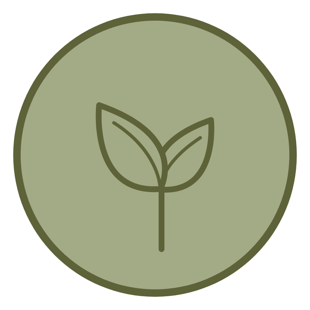 leaf graphic for website (2).png