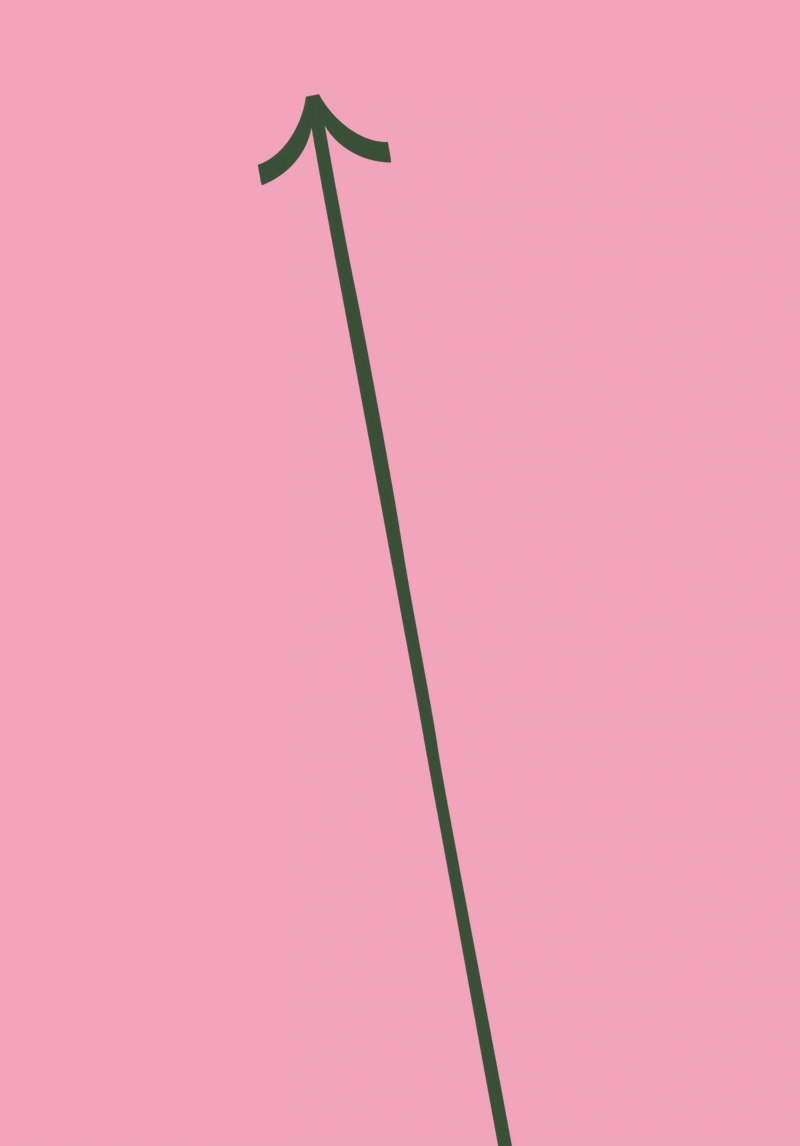 Sciuchetti Planung Pfeil