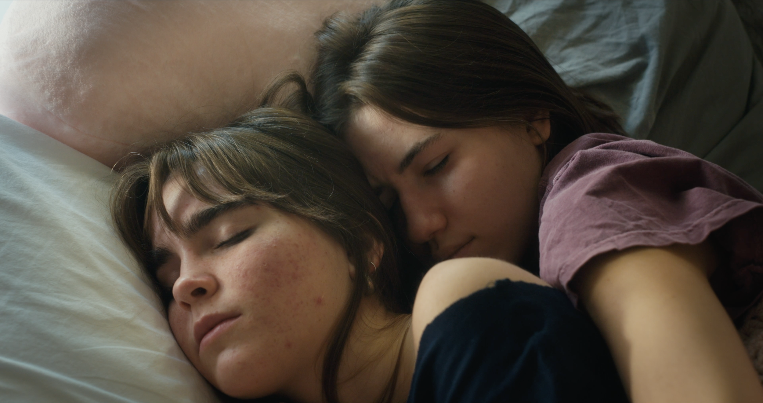 Pink Rabbit - Short Film