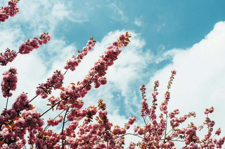 unsplash-image-yjiZAbTDkik.jpg