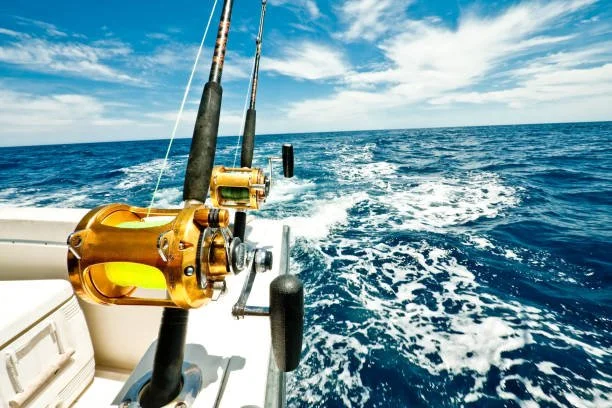 Fishing rods mounted on a boat with the ocean in the background