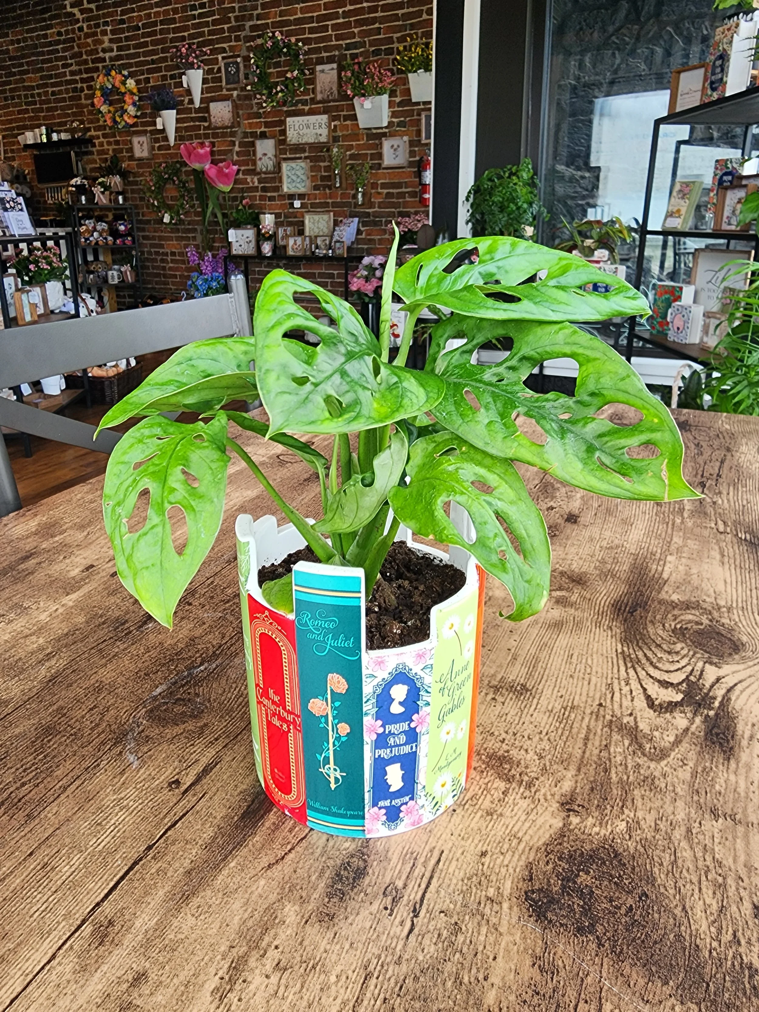 Library Planter