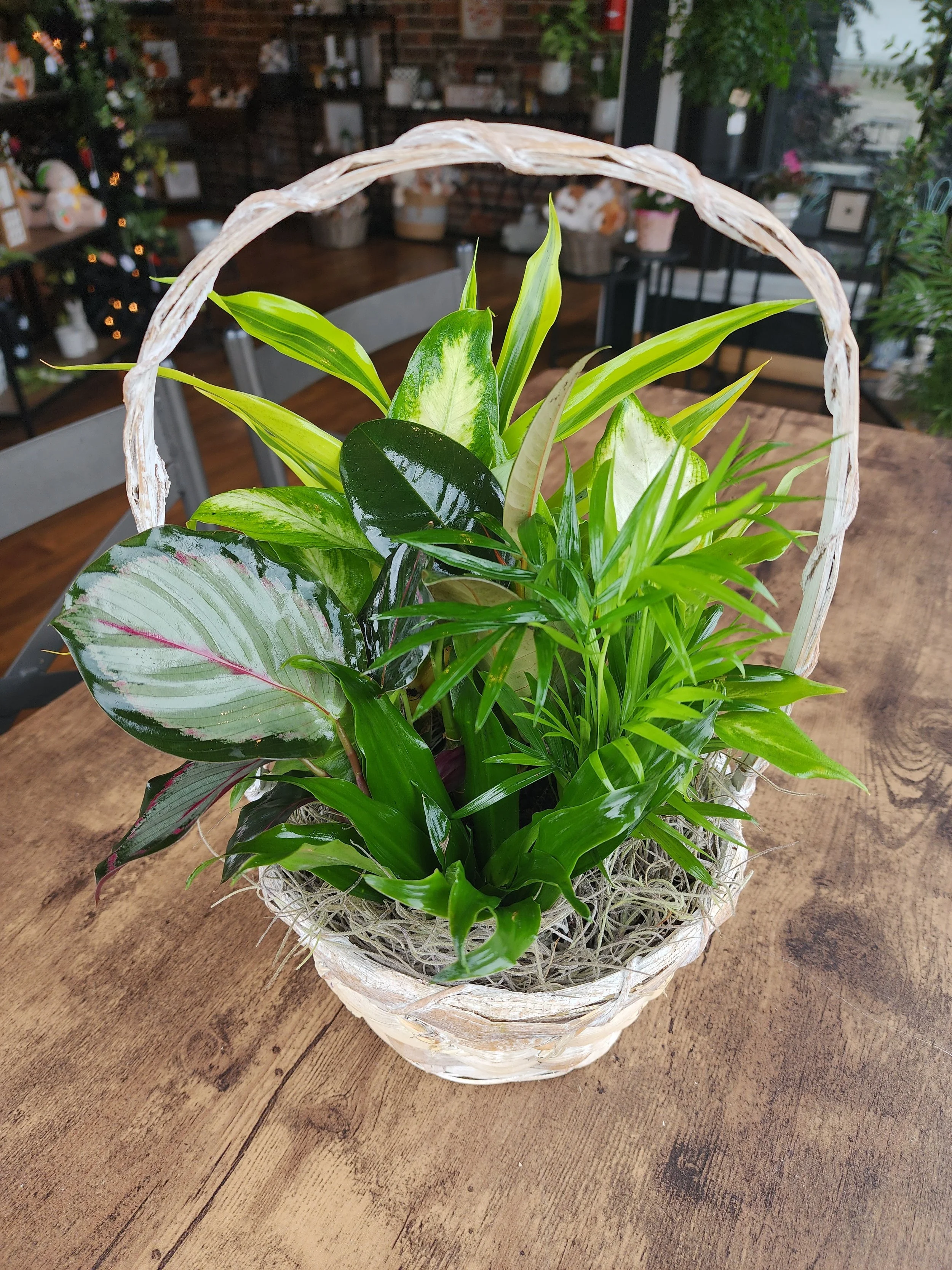 20260331_160514 (1).jpg