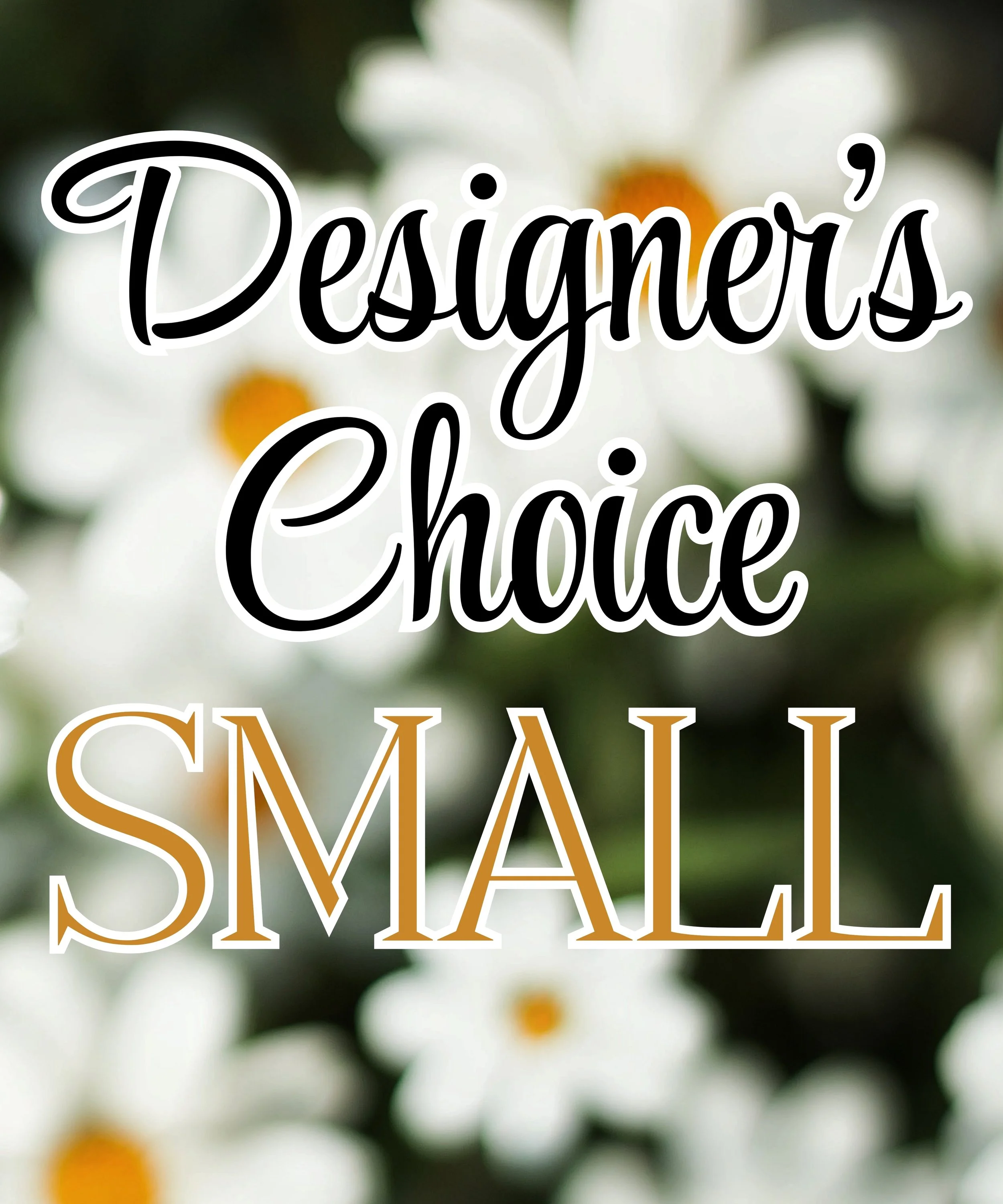 Designers Choice - Small