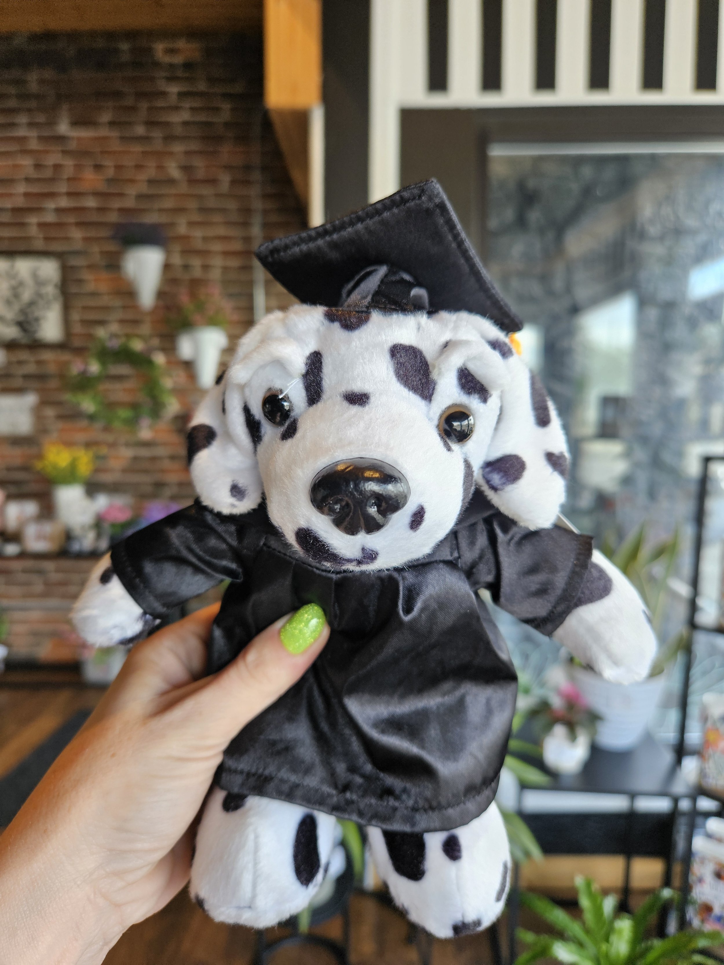 Small Grad Dog