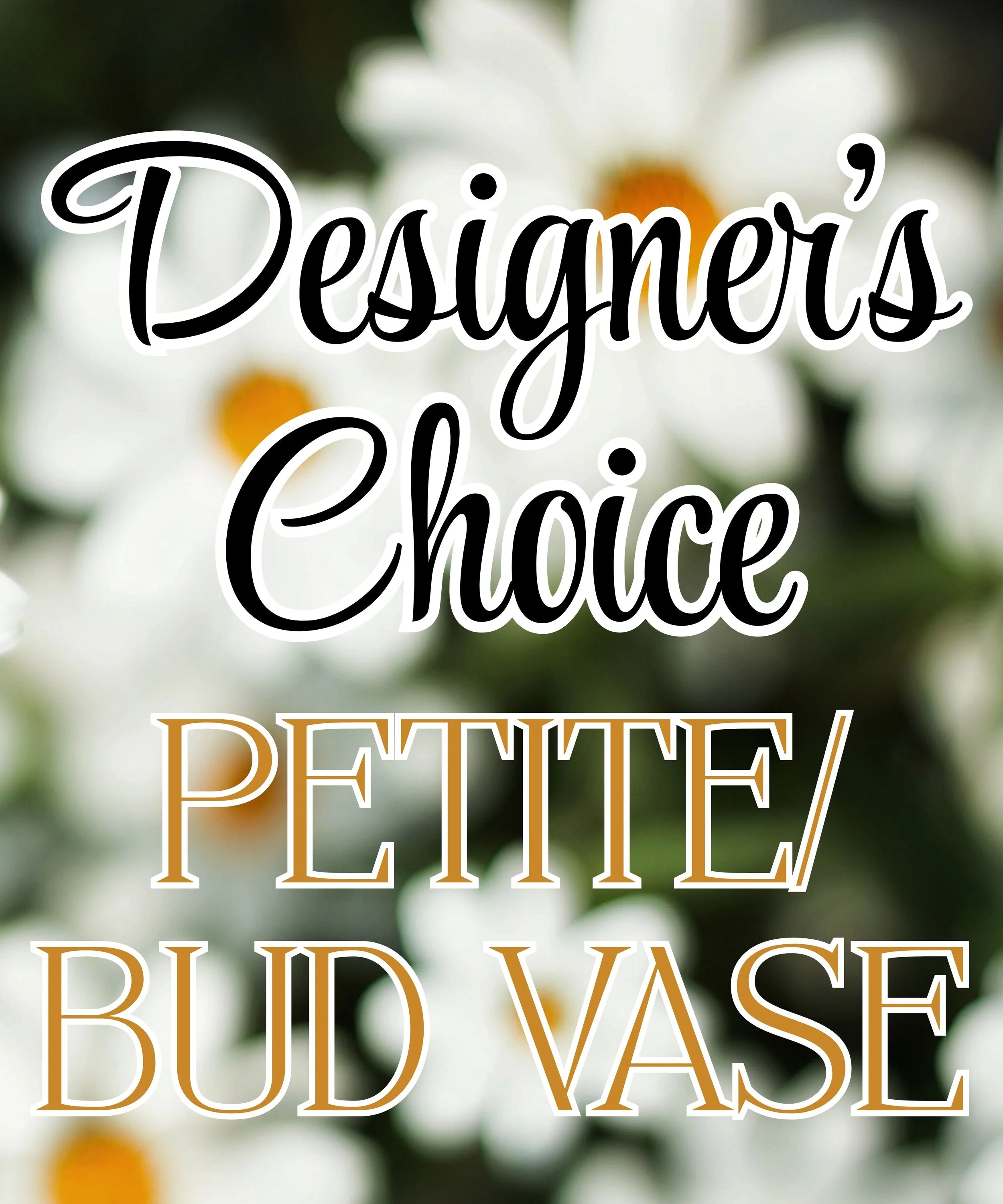 Designers Choice - Petite / Bud Vase