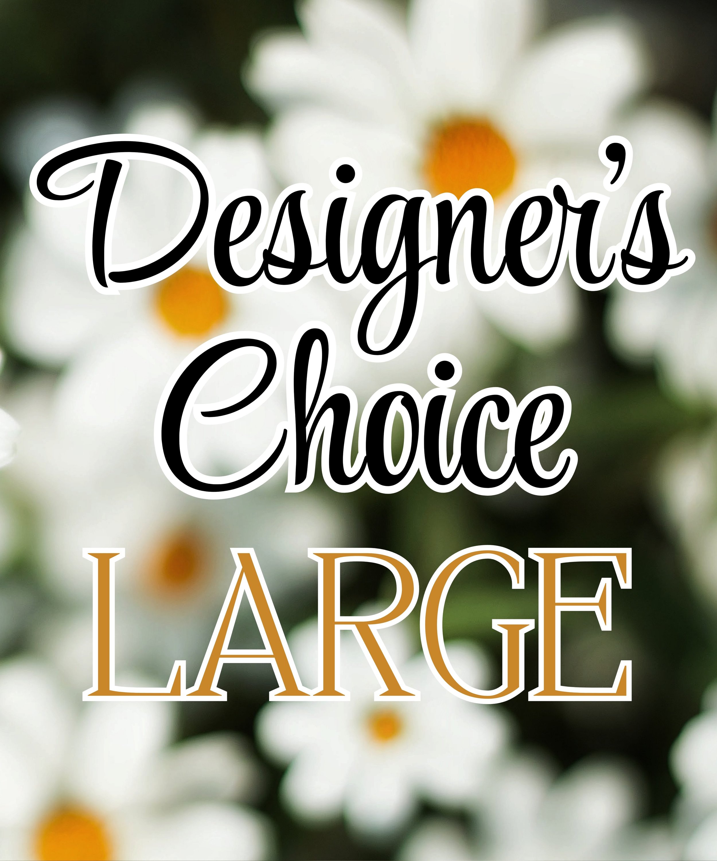 Designers Choice - Large