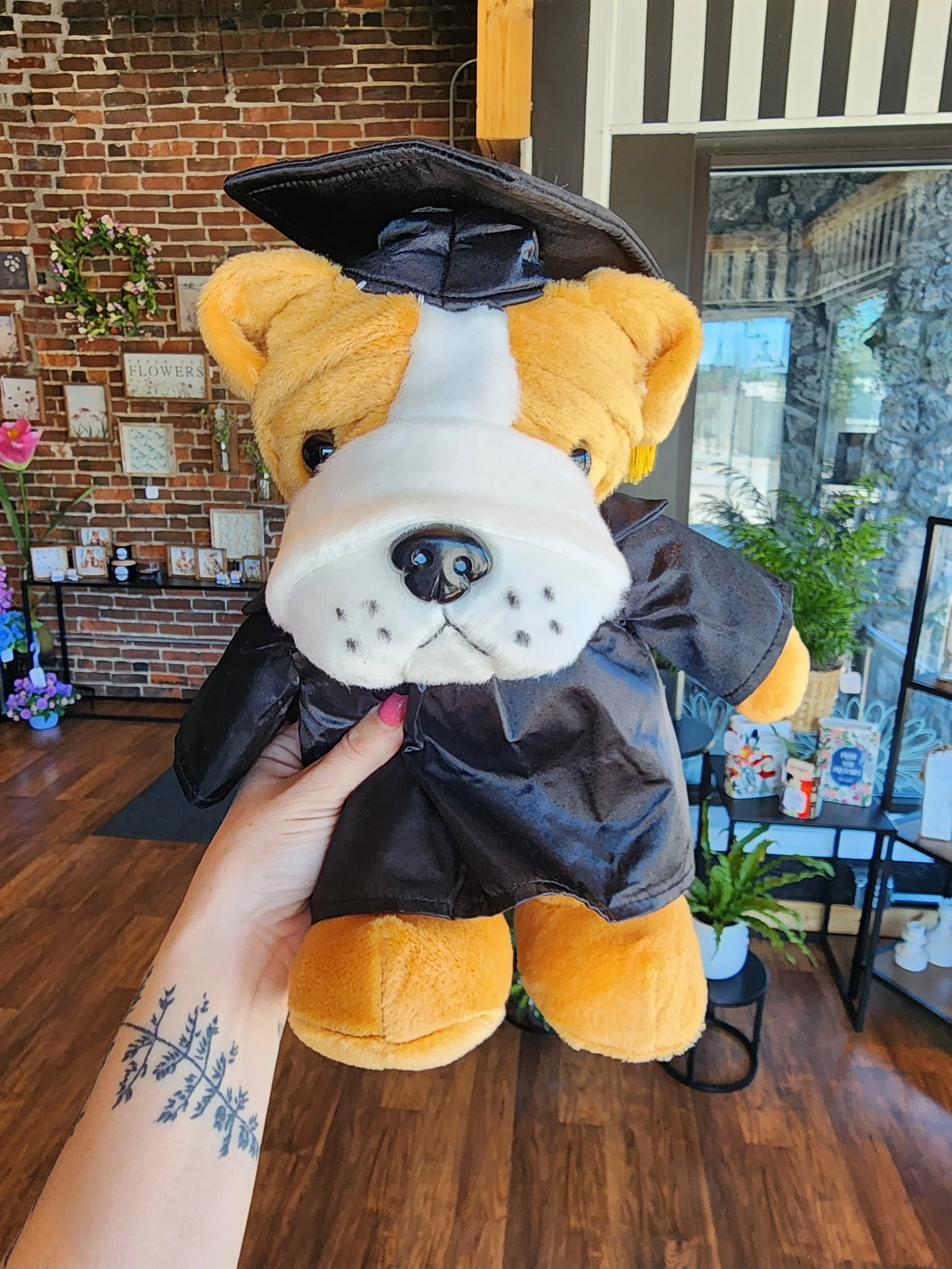 Grad Bulldog