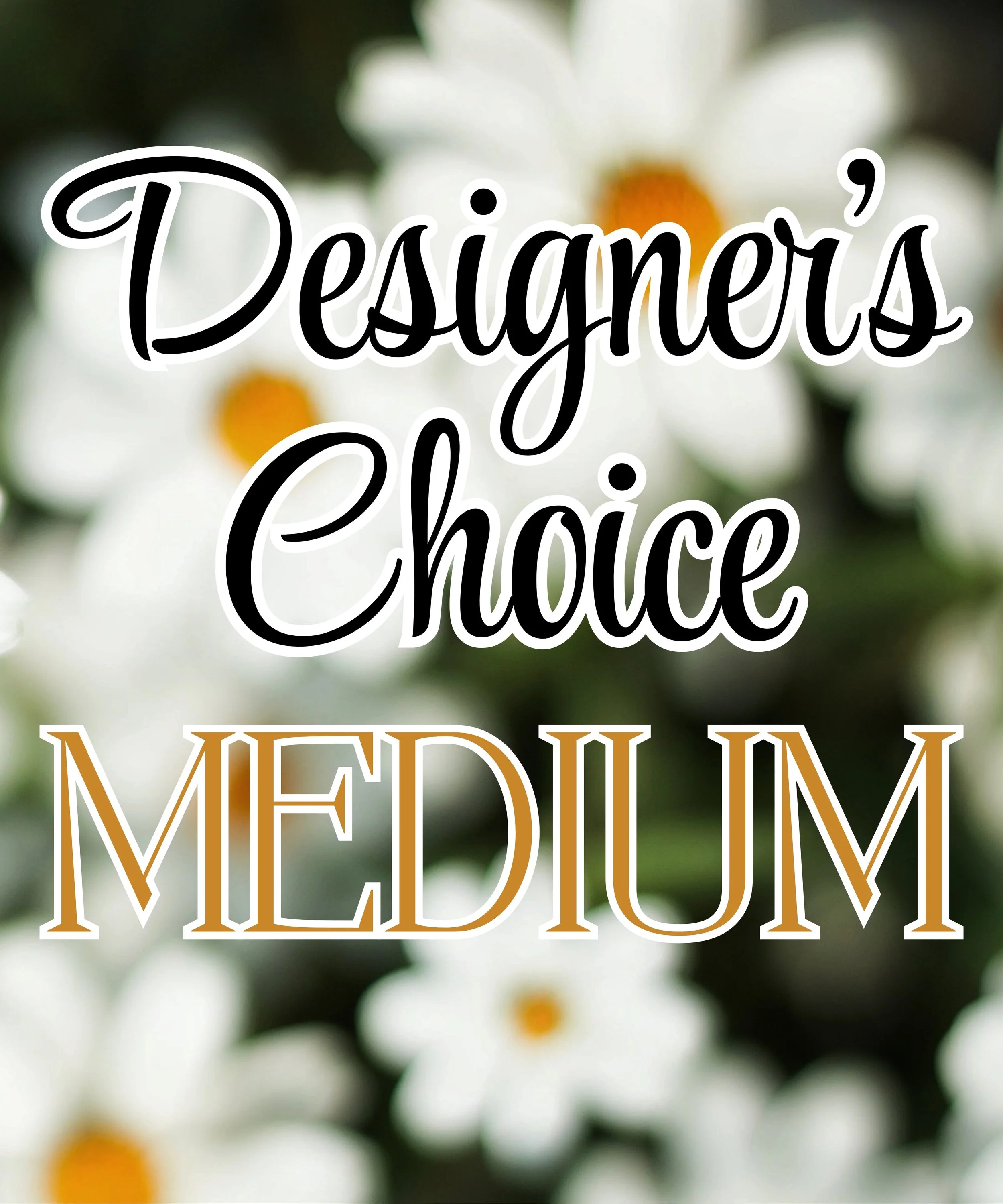 Designers Choice - Medium