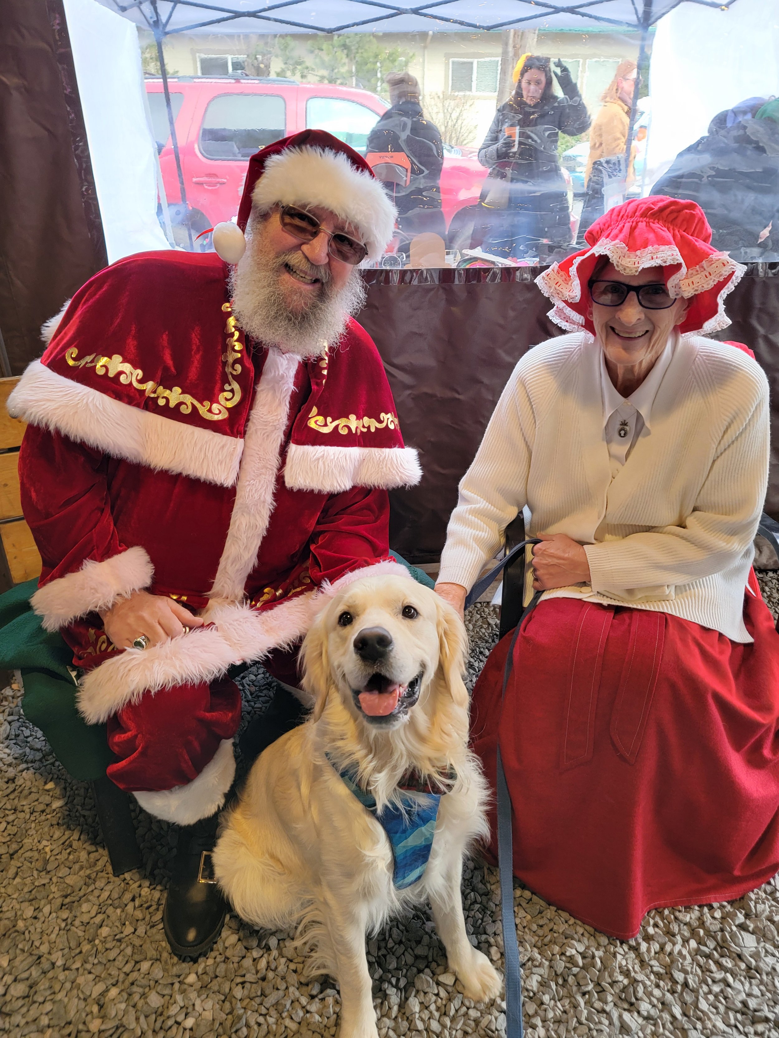 🎄🐾 Christmas Cheer with Bodhi, Our Chief Running Officer! 🐾🎄