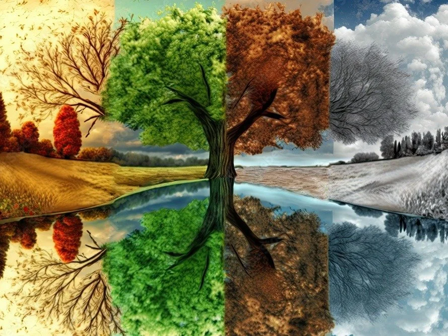 Four Seasons, One Happy Dog: A Balanced Approach to Year-Round Exercise in Bend