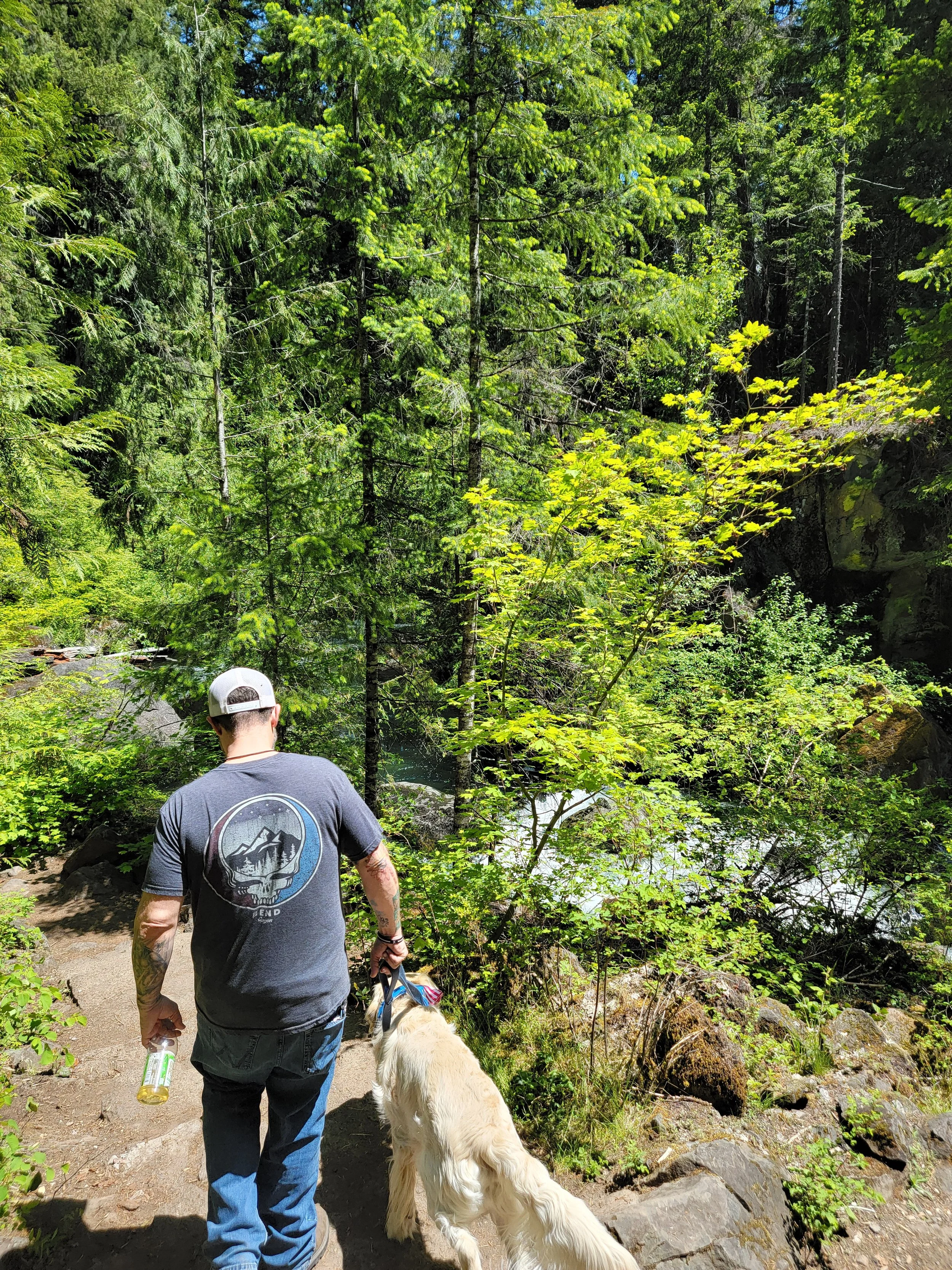 Why Regular Exercise Is Essential for Your Dog’s Physical &amp; Mental Health; A Science-Backed Guide