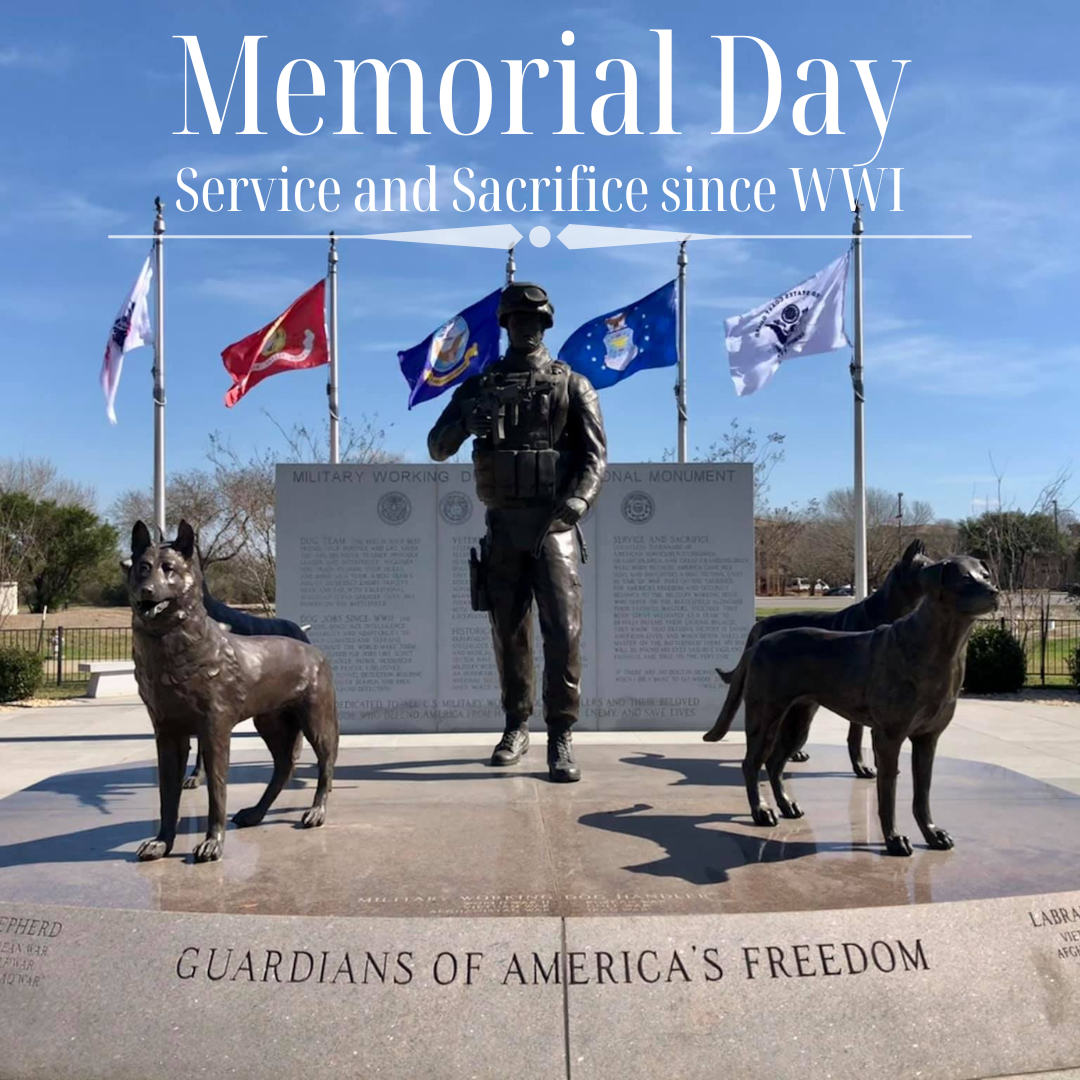 Memorial Day Weekend: Keeping Routines Steady for Happier Dogs