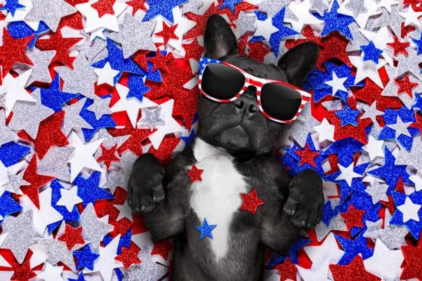 Bend's Fourth of July Pet Parade, Fireworks, and Tips for a Calmer Dog This Holiday Weekend