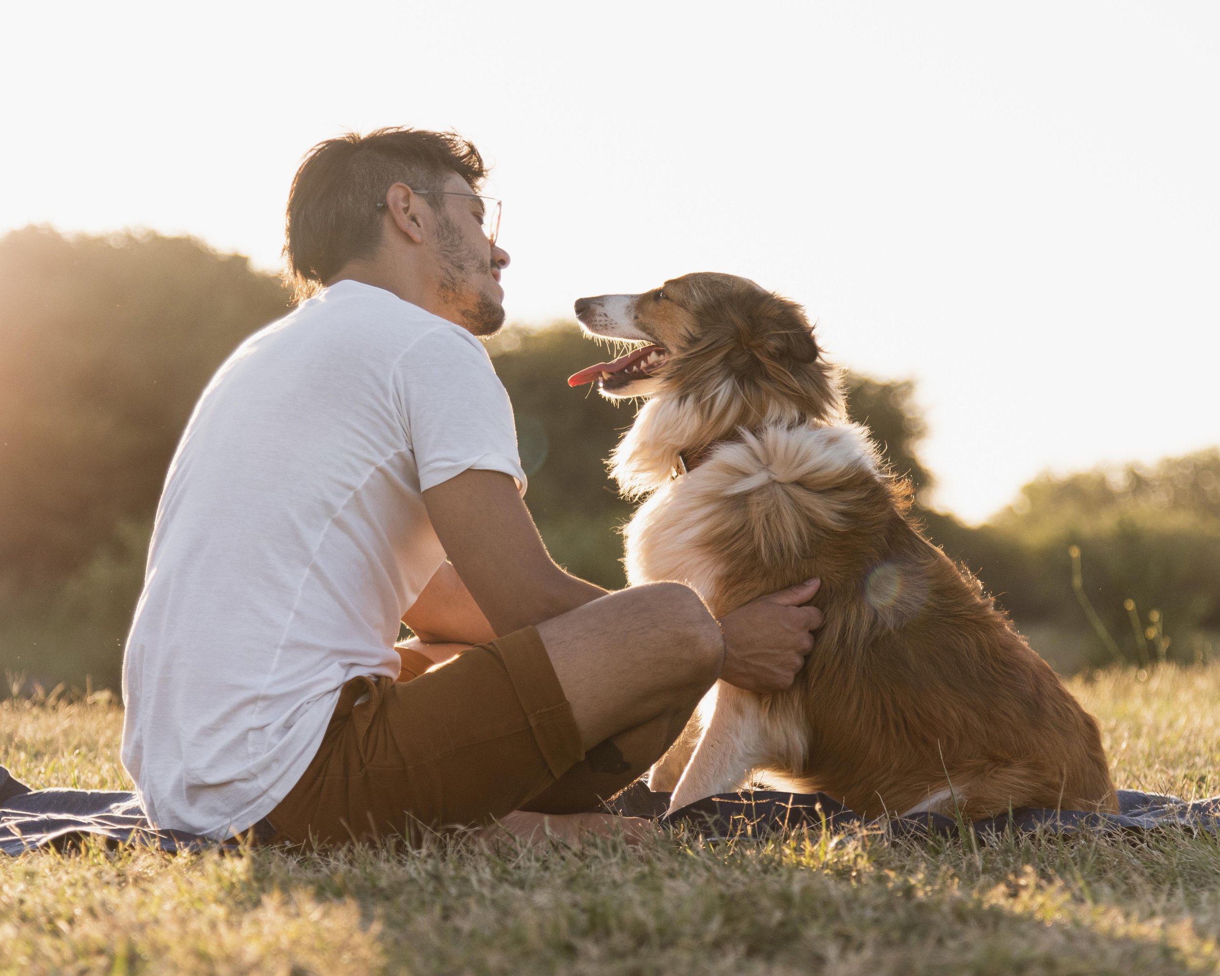 Every Dog Has a Different Routine: Finding the Right Exercise Balance for Your Bend Lifestyle