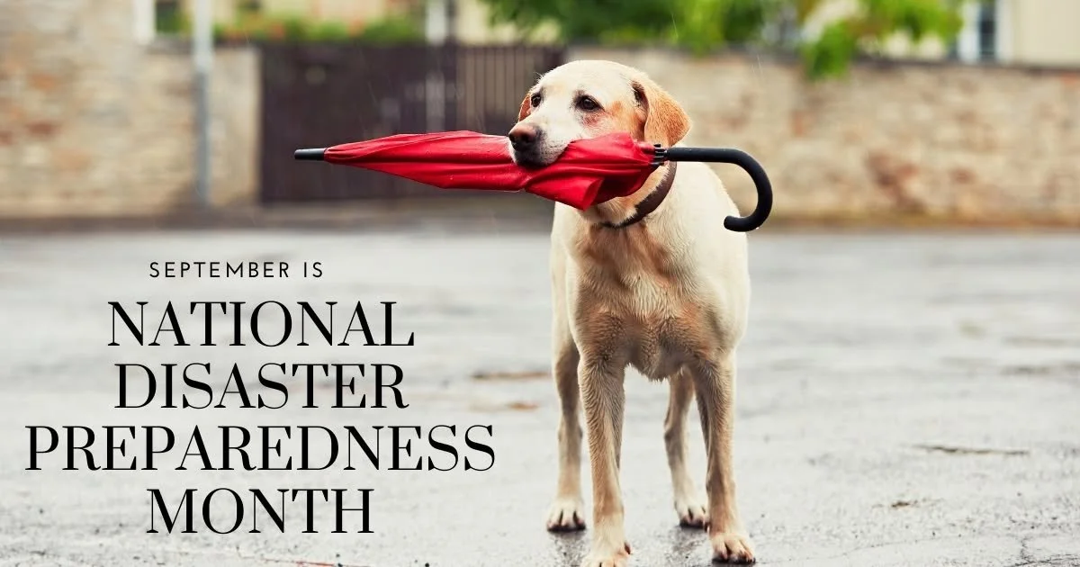 National Disaster Preparedness Month: How to Keep Your Dog Safe During a Wildfire or Emergency in Central Oregon