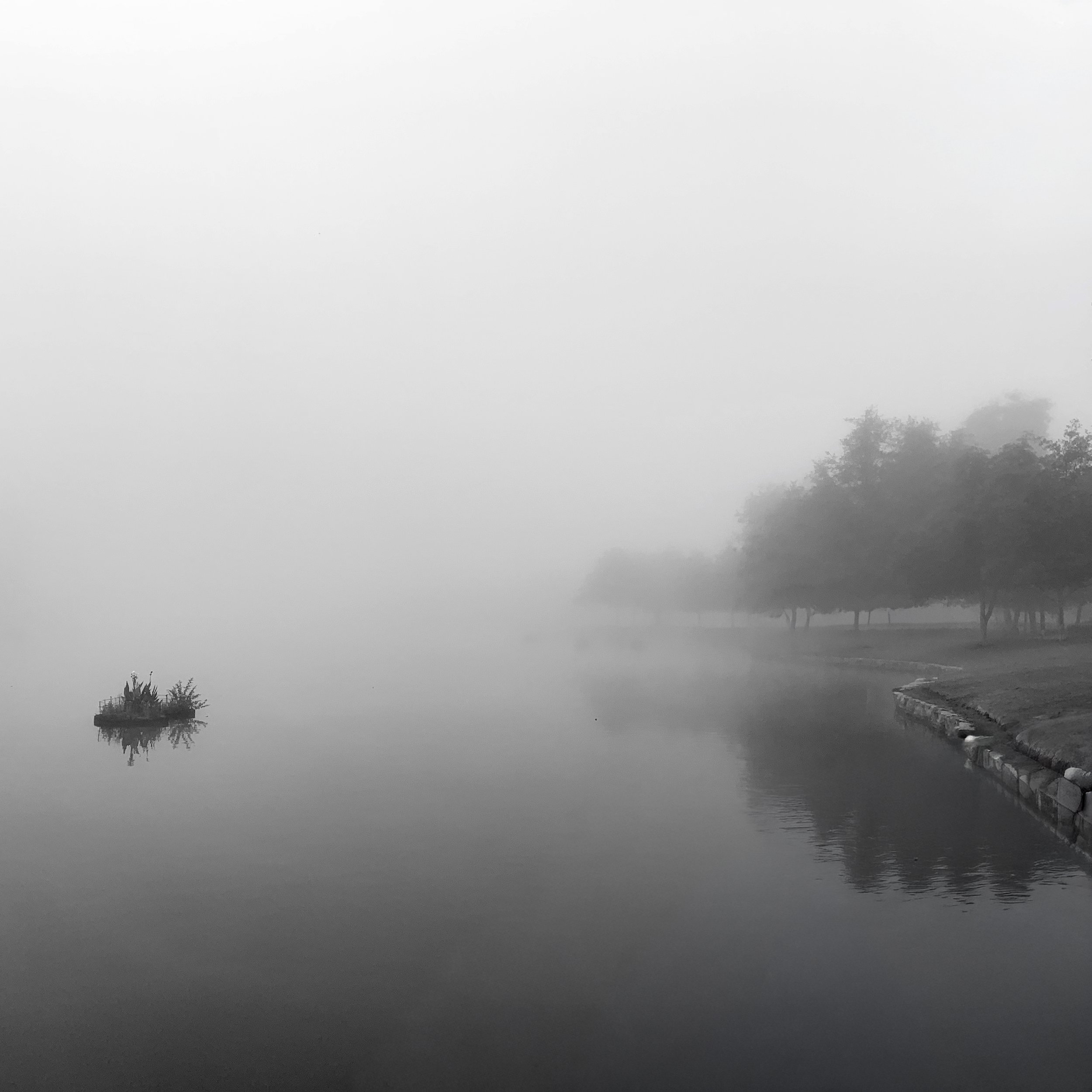 What The Mist Remembers No. 7  |  
Limited Edition of 25