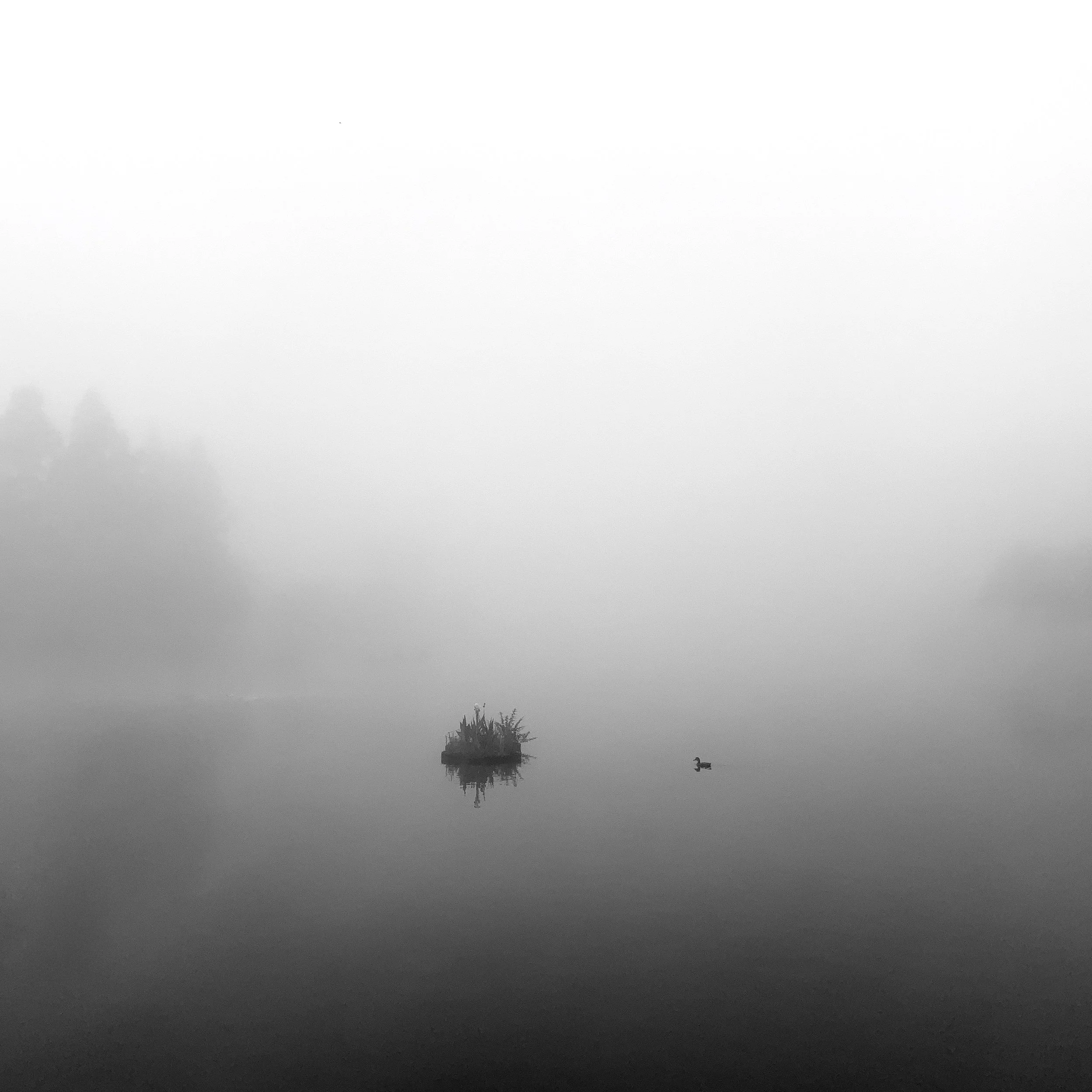 What The Mist Remembers No. 6  |  
Limited Edition of 25