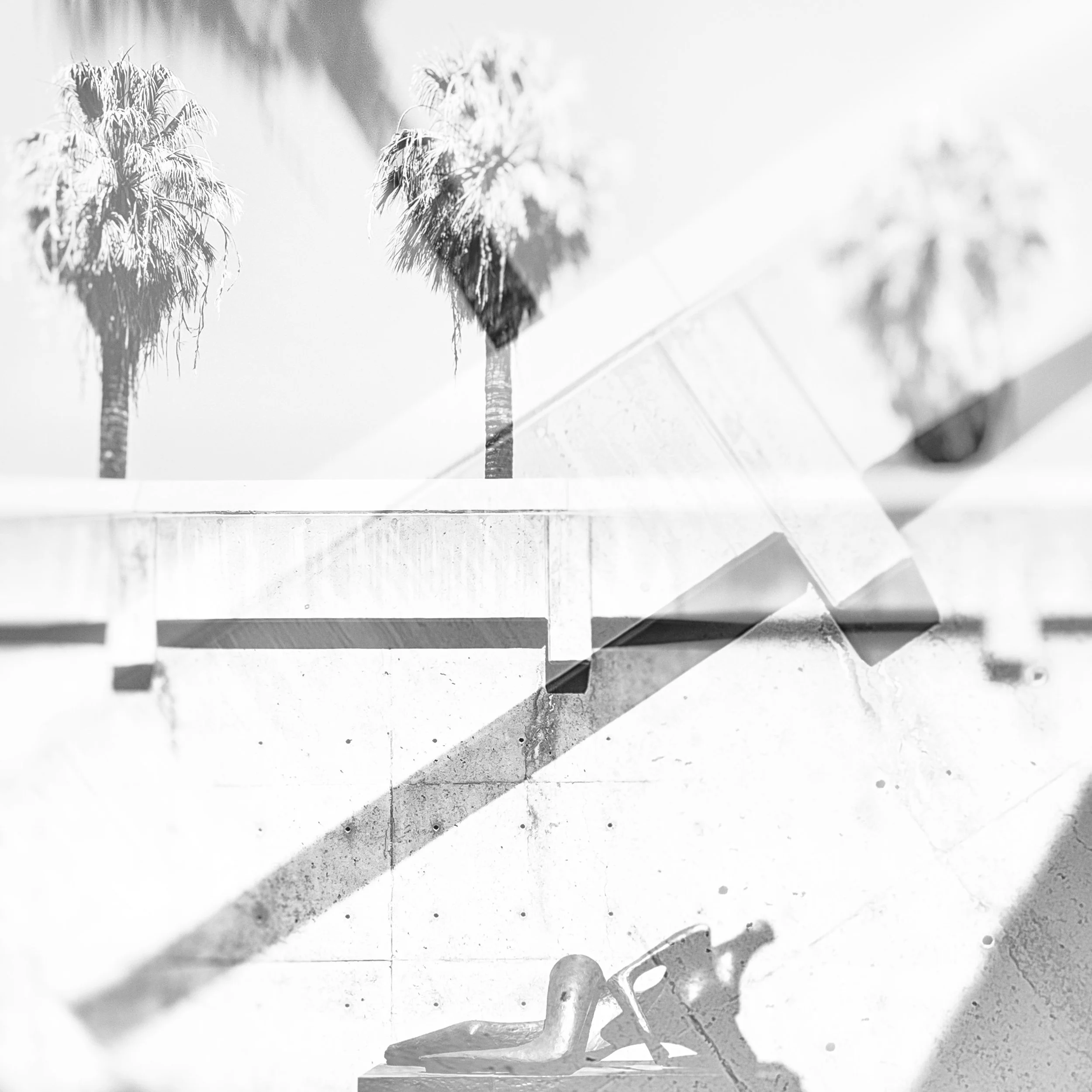 Palm Reverie No. 02  |  
Limited Edition of 25