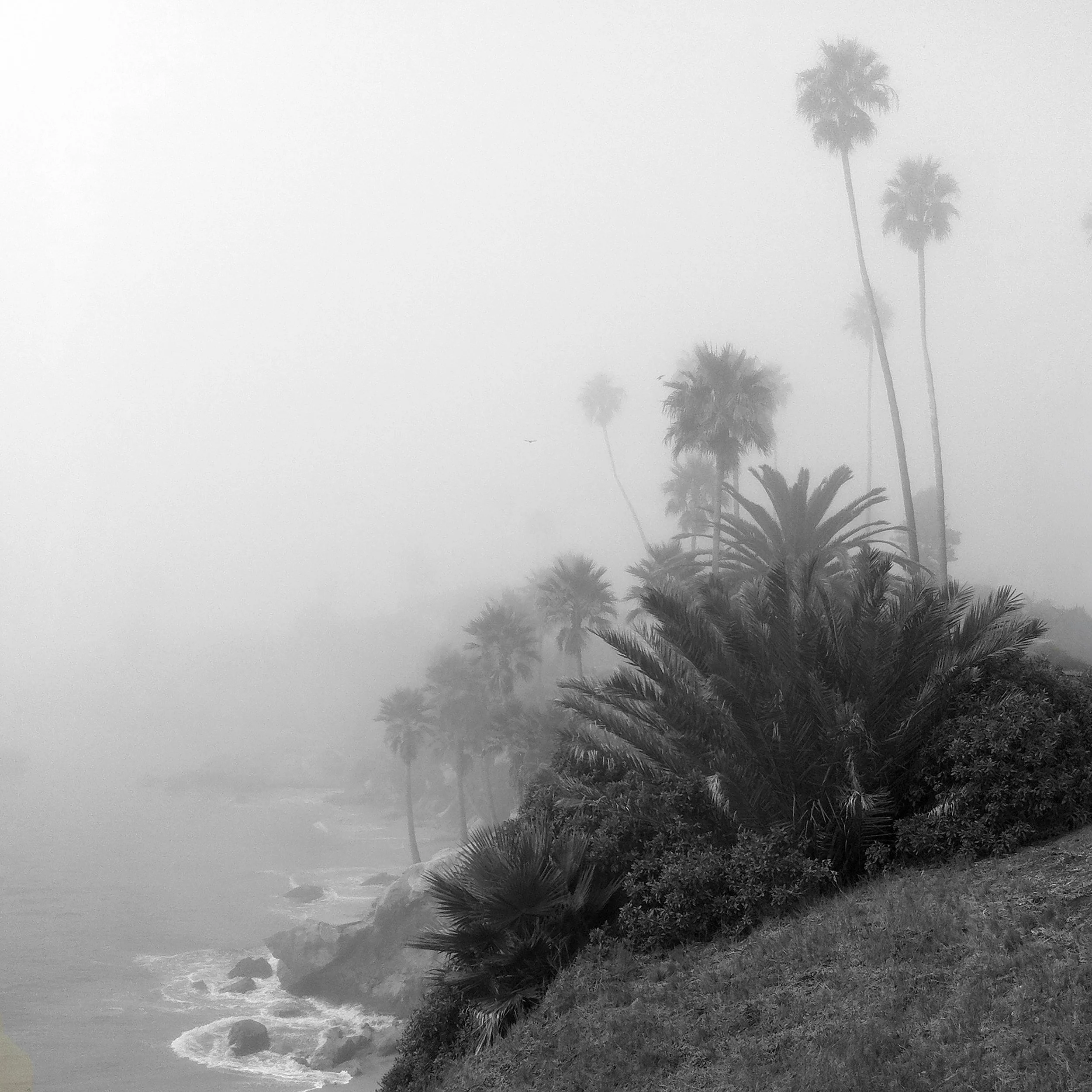 Website No 6_3699_2.jpg