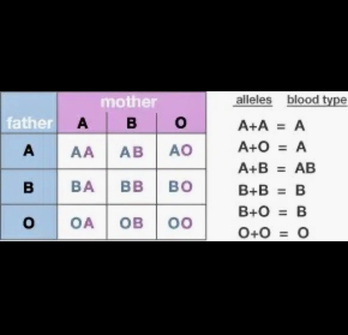 ABO - BloodTypes Characterisation.