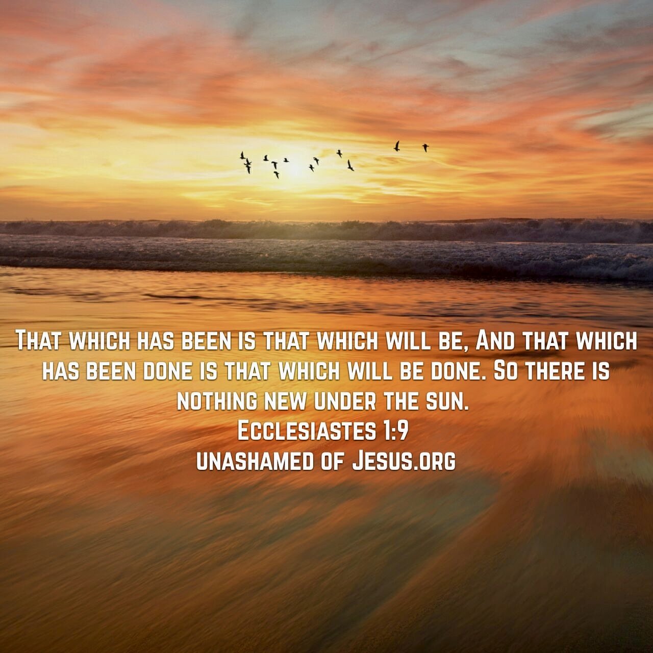 “There is Nothing New, underneath the Heavens .”
