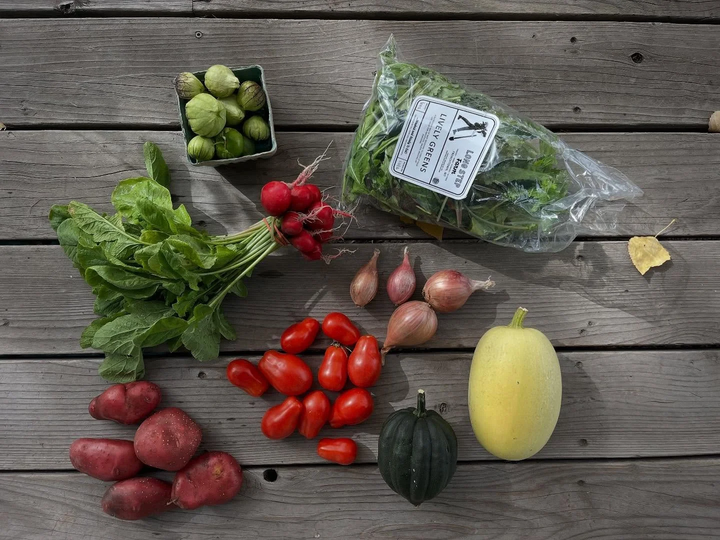 Summer CSA Week 17!
Family share: radishes, French fingerling potatoes, paste tomatoes, tomatillos, shallots, an acorn squash, a spaghetti squash and bagged lively greens. 
Personal share: radishes, French fingerling potatoes, paste tomatoes, lunchbo