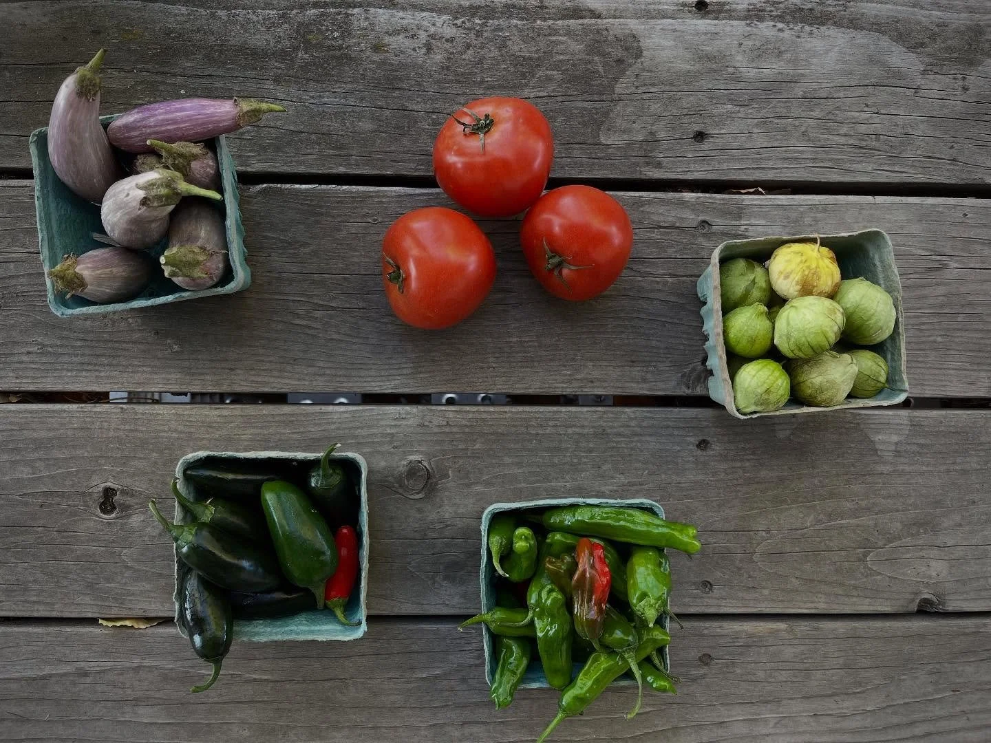 Summer CSA Week 18:
Family share: celeriac, bagged arugula, lemongrass, salad turnips, lettuce head plus choice of two from slicer tomatoes, eggplants, jalape&ntilde;os, shishitos and tomatillos. 
Personal share: celeriac, bagged arugula, lemongrass 