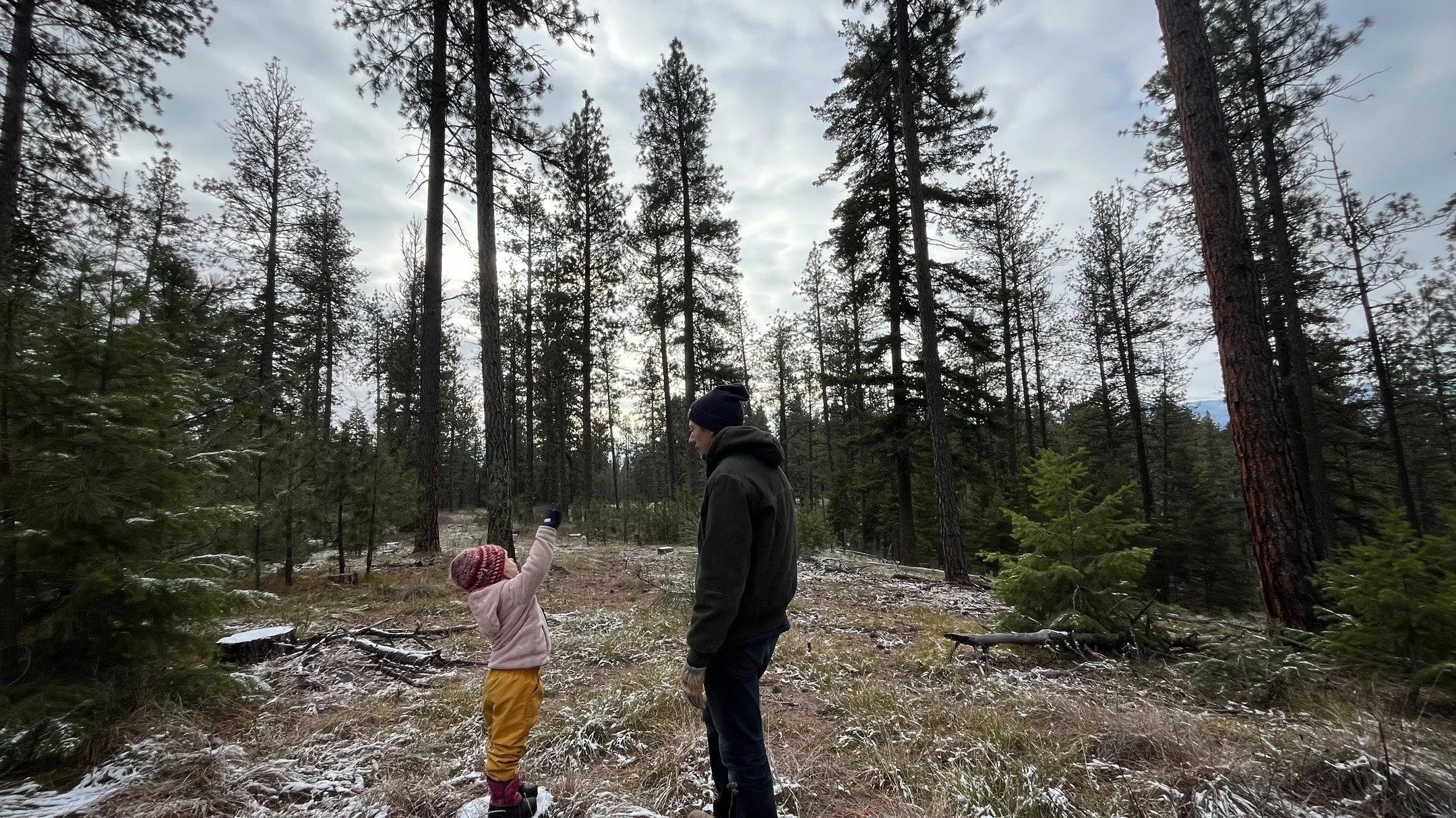 We've been pretty quiet on here the last month and half - we've been doing a lot of season debriefing, a little planning and a tiny little bit of winter-farming, you know, as an experiment. We've also been doing a lot of soaking in this slower time o