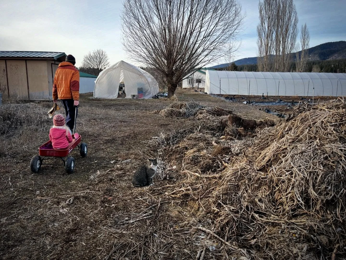Making the farm rounds on these strangely warm February days&hellip;