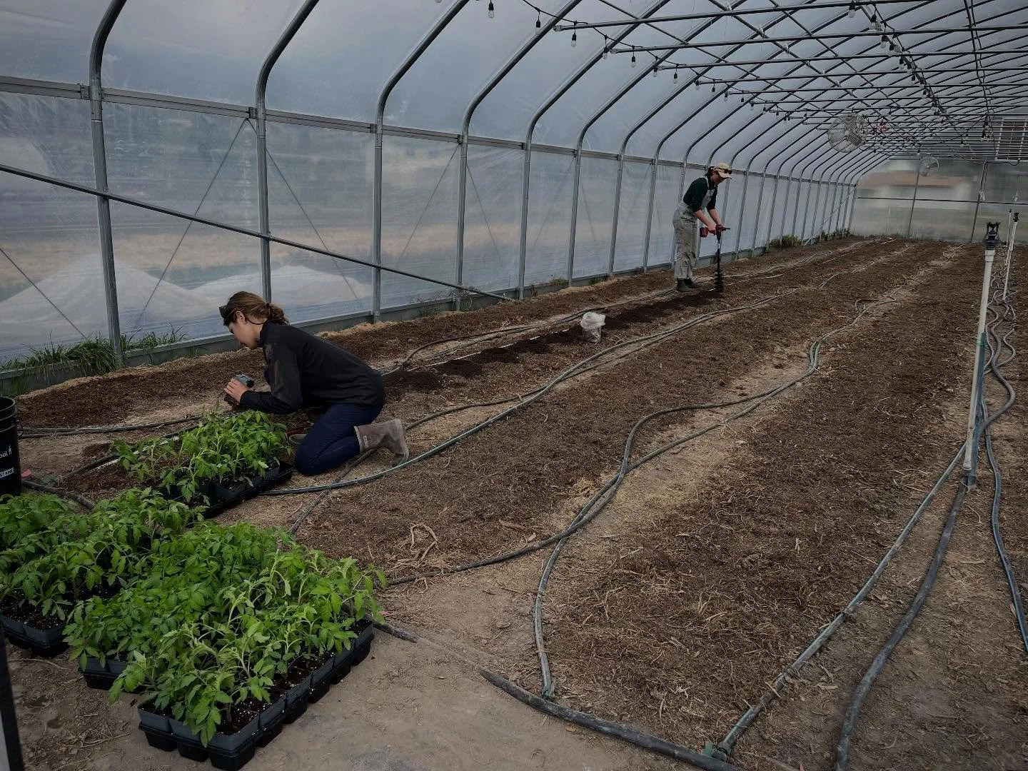 It&rsquo;s an exciting week at the farm! A few more of our amazing crew are officially starting this week (yayayay!) annnnnd we&rsquo;re planting tomatoes in the greenhouse today 🤯 It&rsquo;s the earliest we&rsquo;ve planted tomatoes yet, but the gr