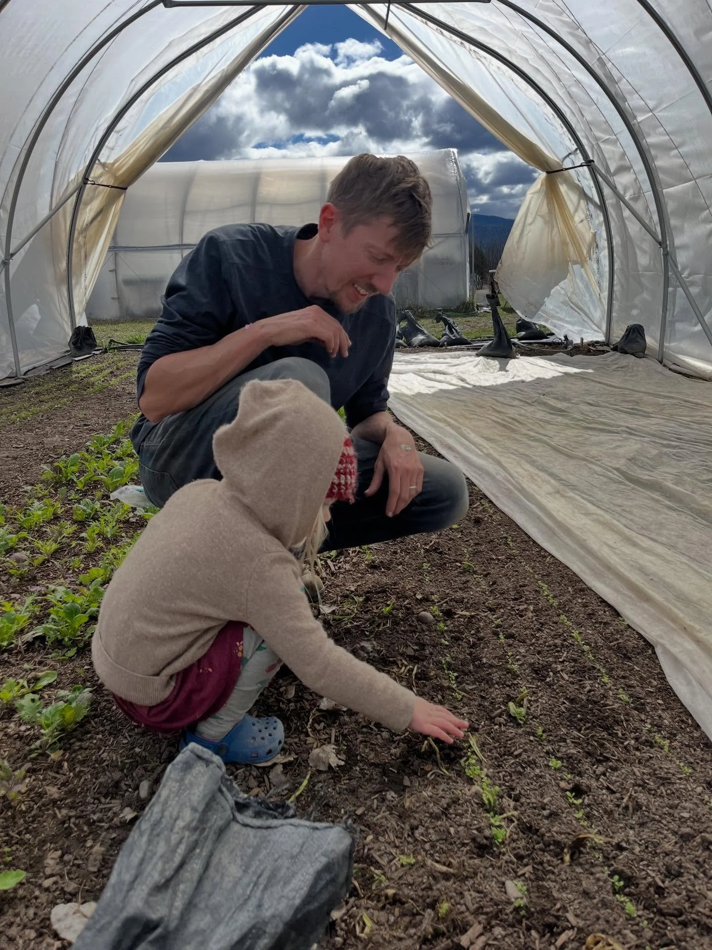 I had big plans to check the irrigation lines for all of our trees today as well as re-upping their bases with more woods chips and maybe cleaning up the perennials.  But on this particular day, for no big reason beyond a spring cold and the not insu