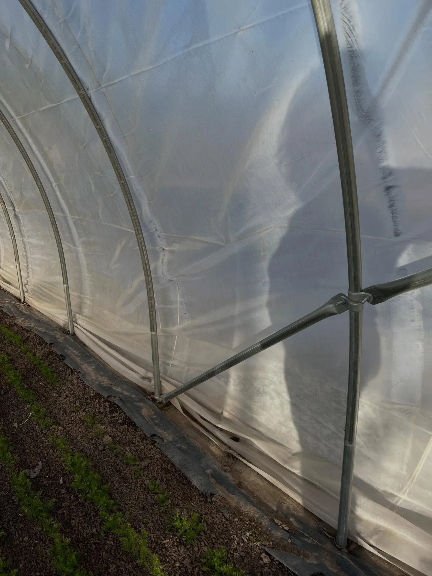 Coming up on 34 weeks now and I can feel my hormones shifting these days, my external priorities flying out the window and my internal mama bear baby&rsquo;s-coming-soon instincts suddenly coming on fast. I remember this happening last pregnancy too 