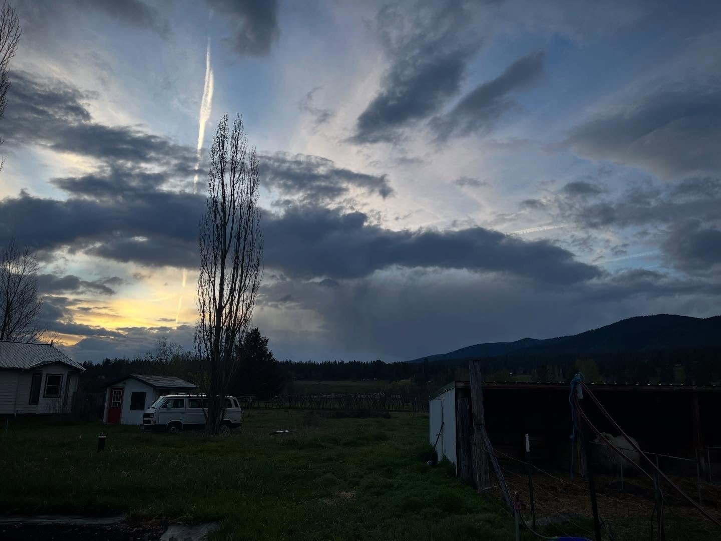 Evening rounds, spring skies ✨