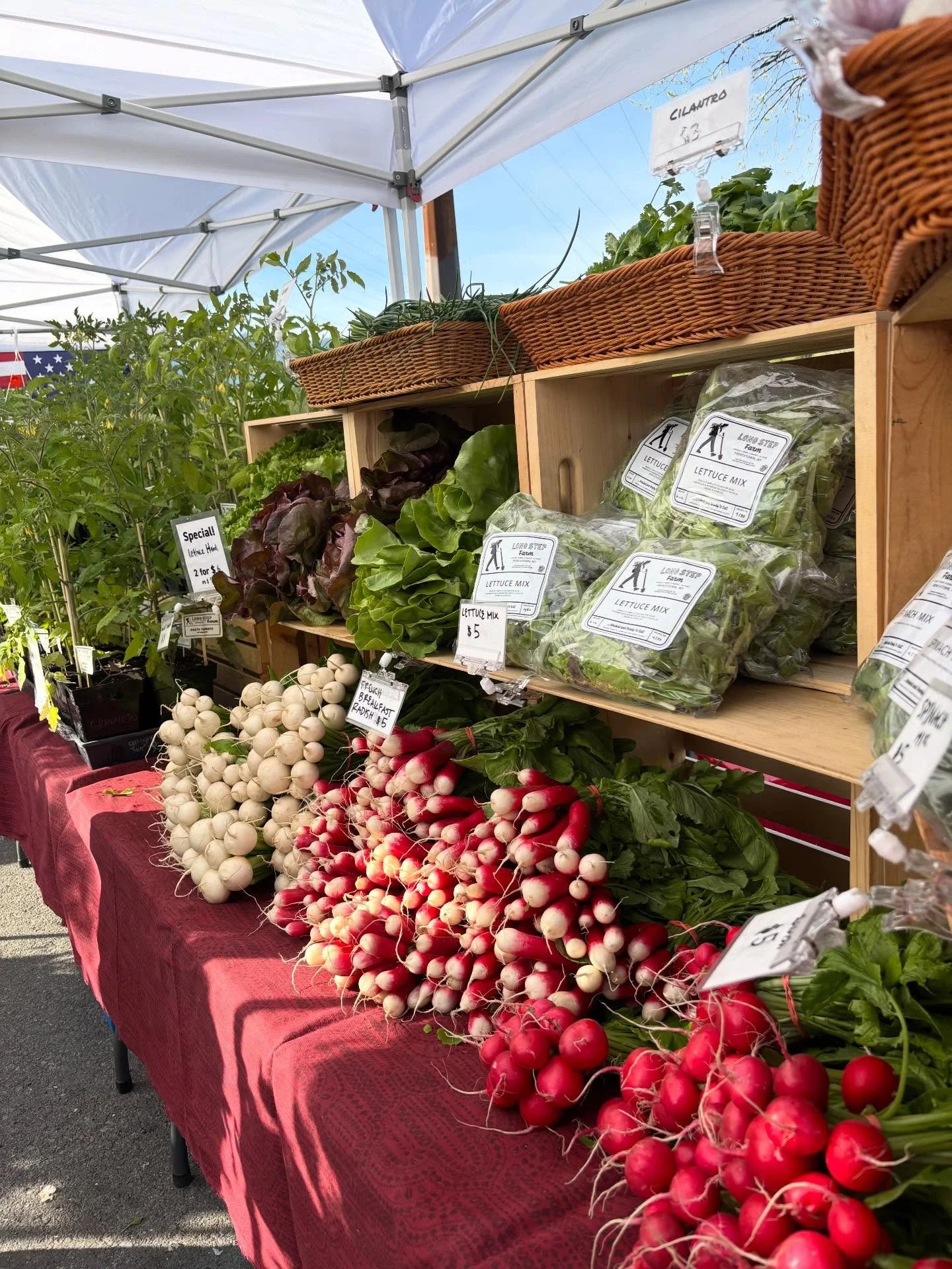 Morning friends! We&rsquo;re all set up at this sweet sunny first @clarkforkrivermarket of the summer season with lots of fresh veggies, herbs and plant starts! Y&rsquo;all, we really went for it with plant starts this year, and finally upgraded our 