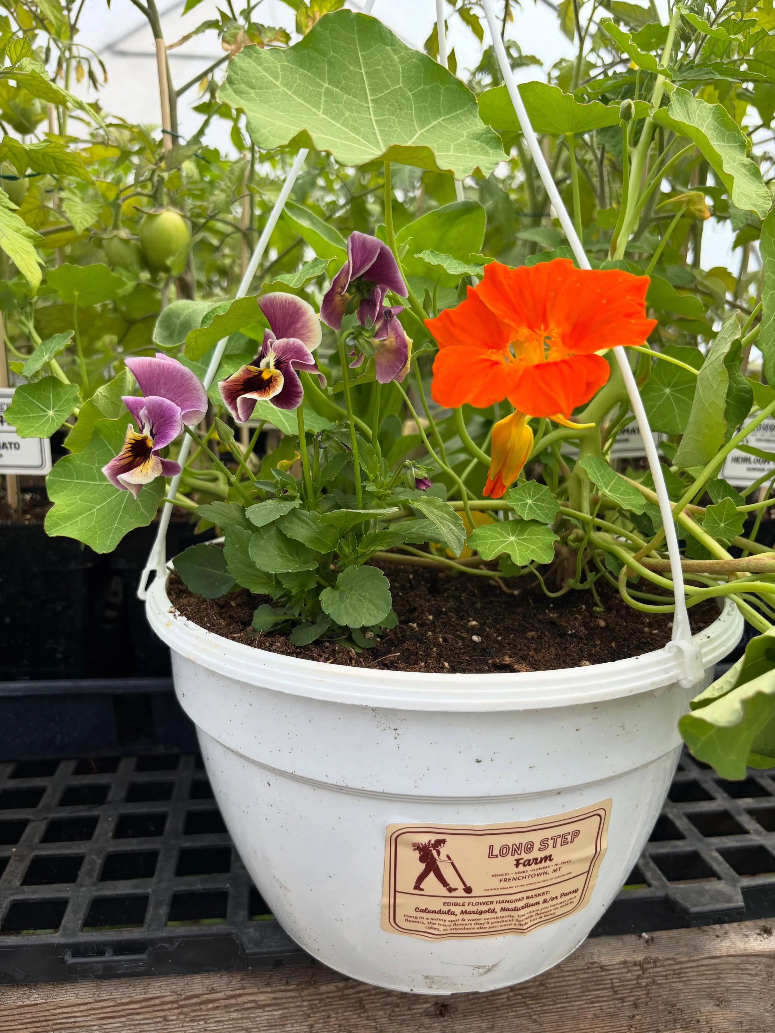 Can&rsquo;t believe it&rsquo;s the weekend again already! Come find us @clarkforkrivermarket tomorrow between 8am and 1pm for a ton of plant starts, lots of fresh cut greens (arugula! lettuce mix! spinach! lively greens!), lettuce heads, two types of