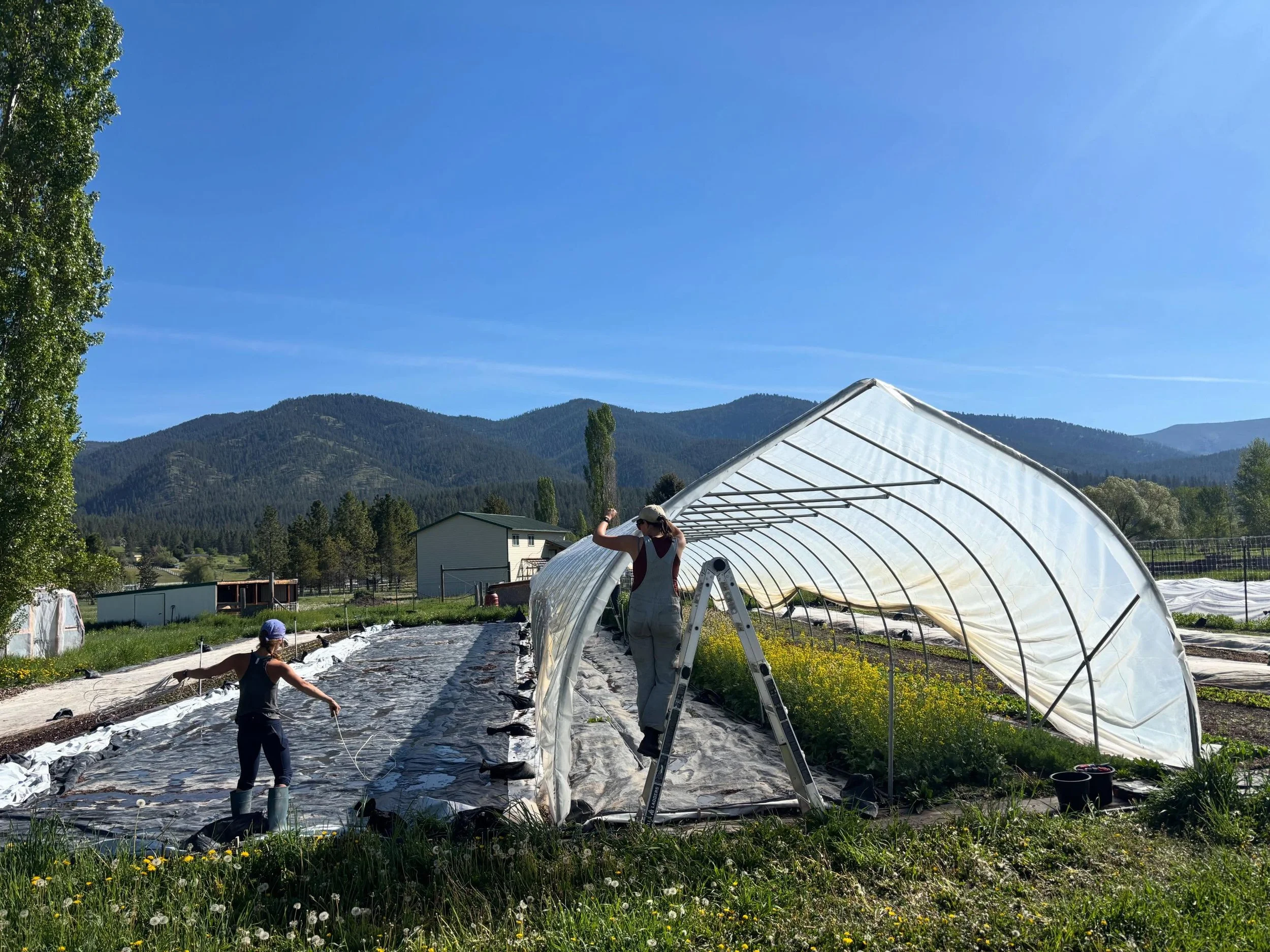 Farming is so much more than simply tending seeds, pulling weeds and harvesting vegetables. There&rsquo;s a lot of that, but there&rsquo;s also a lot of deconstructing, carrying heavy things, scheming, building&hellip; you get the idea. This week our