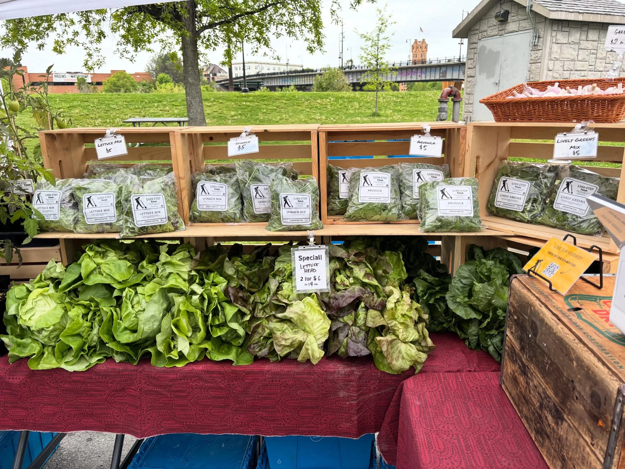 We&rsquo;re all set up @clarkforkrivermarket this morning with a ton of gorgeous big lettuce heads, lots of greens and herbs plus hanging baskets and plant starts. Here until 1pm!