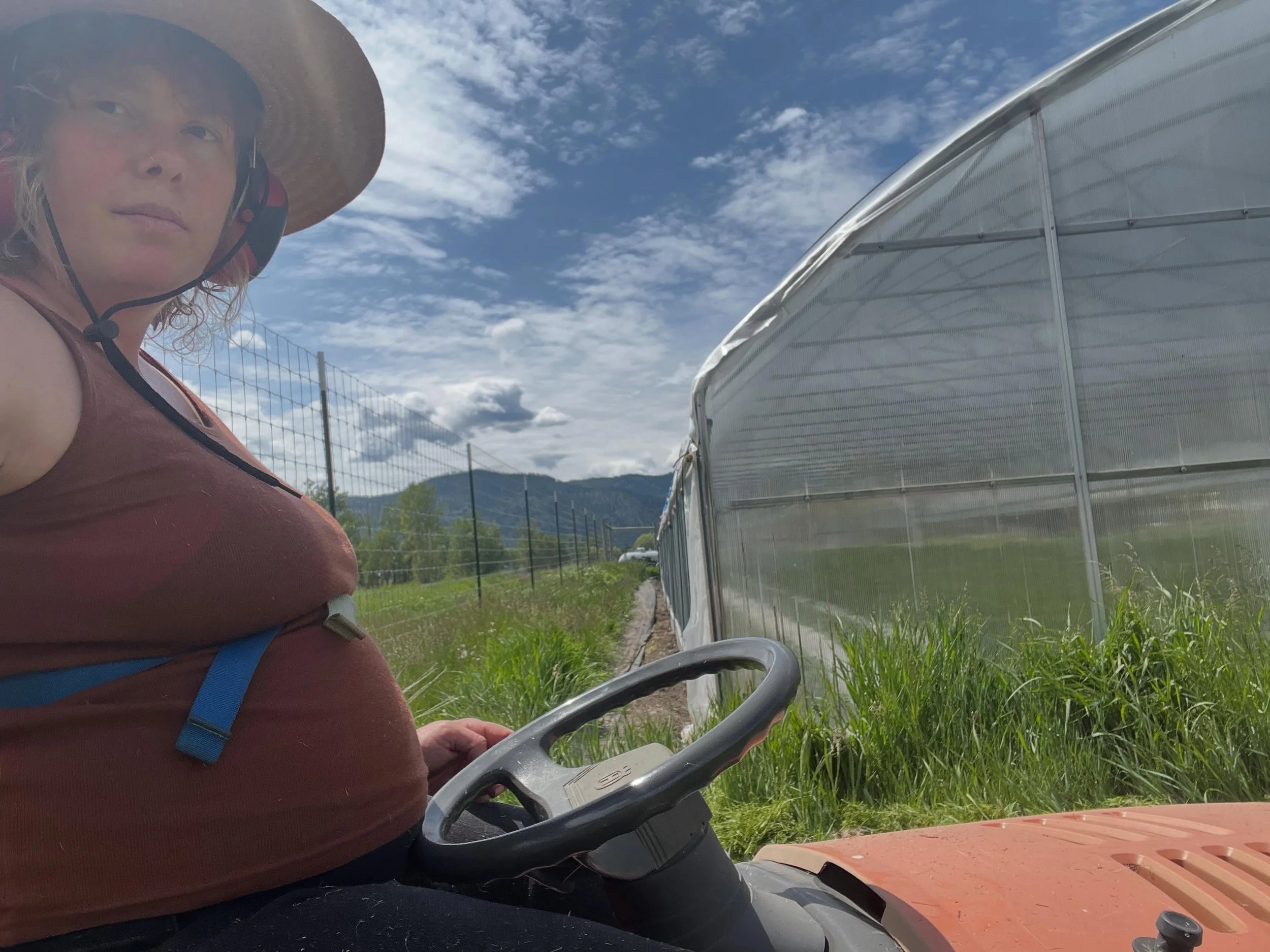 38 weeks. As the day gets closer that baby sister might decide to make her appearance, I&rsquo;ve been working to find farm tasks I can still reasonably help with. Computer stuff obviously, but that&rsquo;s no fun 🙃 I can keep our inside seeding sch