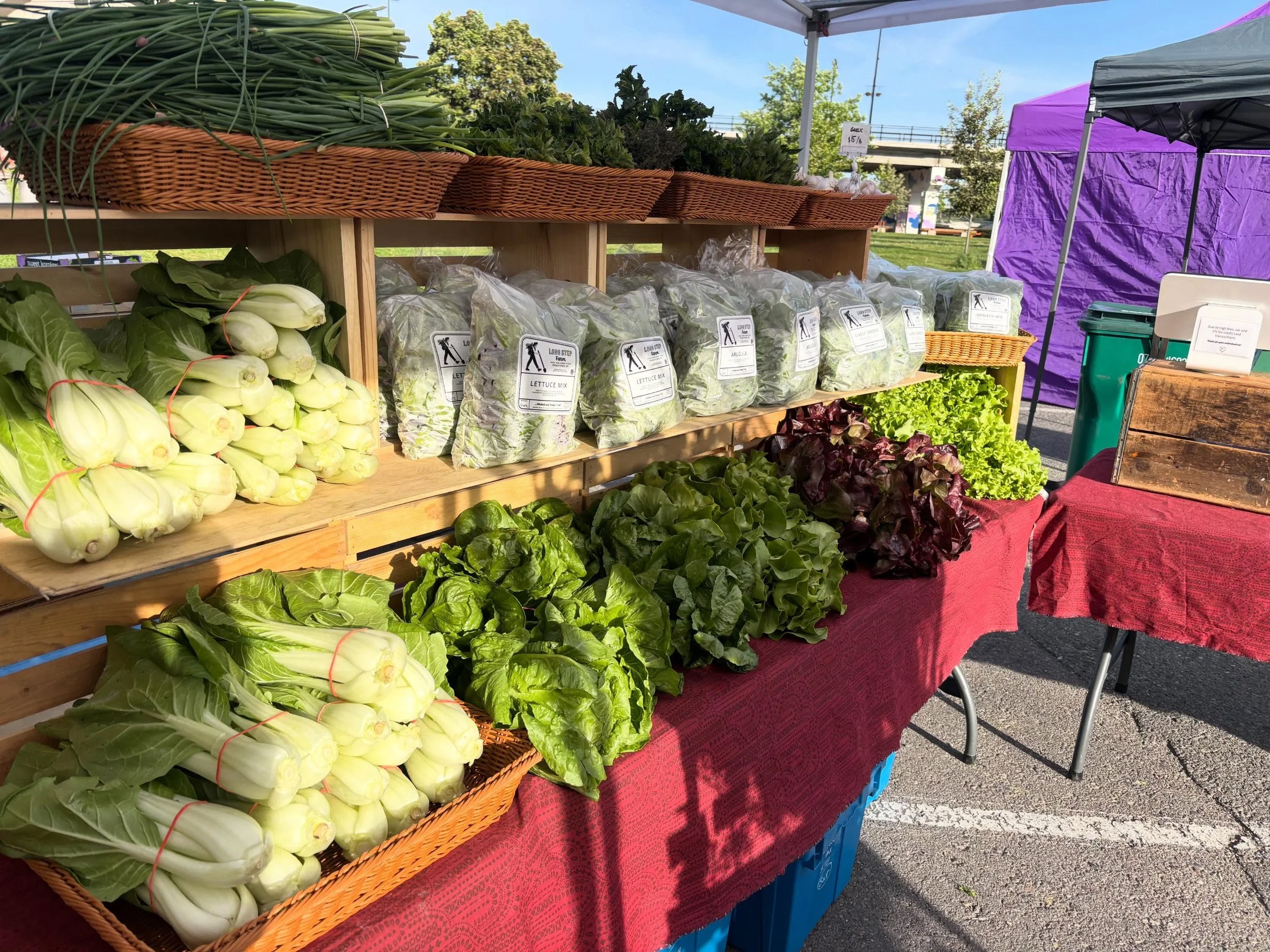 Morning Missoula! We&rsquo;re all set up @clarkforkrivermarket this morning with tons of fresh cut greens, lettuce heads, herbs and our first bok choy of the season as well as tons of plant starts! It&rsquo;s time to plant outside friends! We also ha