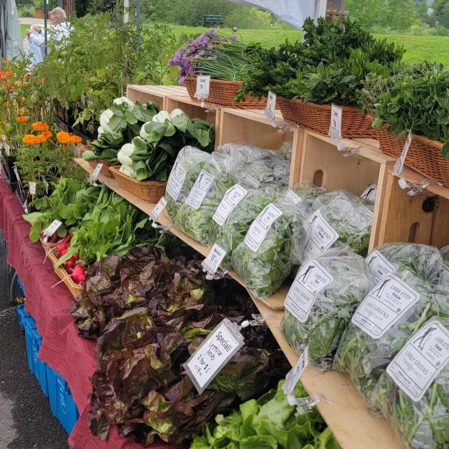 Our incredible crew is all set up @clarkforkrivermarket until 1pm! Swing on by for fresh cut greens, radishes, bok choy, and fresh herbs. We&rsquo;re also still selling plant starts if you have any room in your garden, and bountiful hanging baskets. 