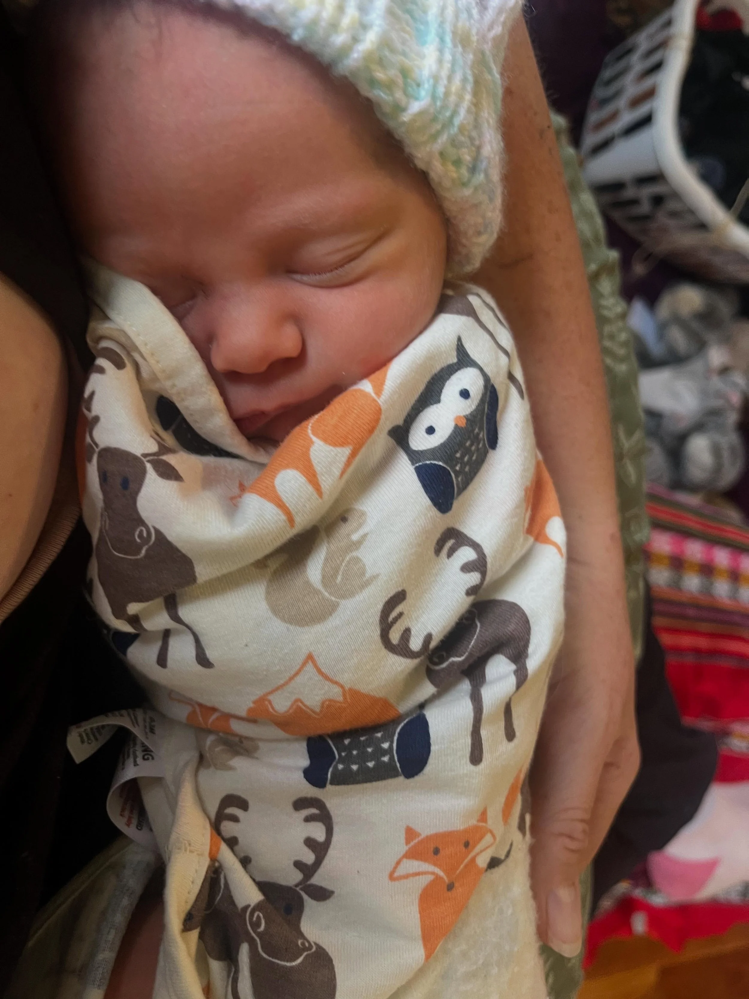 It&rsquo;s been a wild week over here at Long Step: last Tuesday evening, a few minutes shy of midnight, Hazel Wren Pritchard made her early arrival, borne in on these spring thunderstorms. On Monday, P had started talking about how her baby sister w