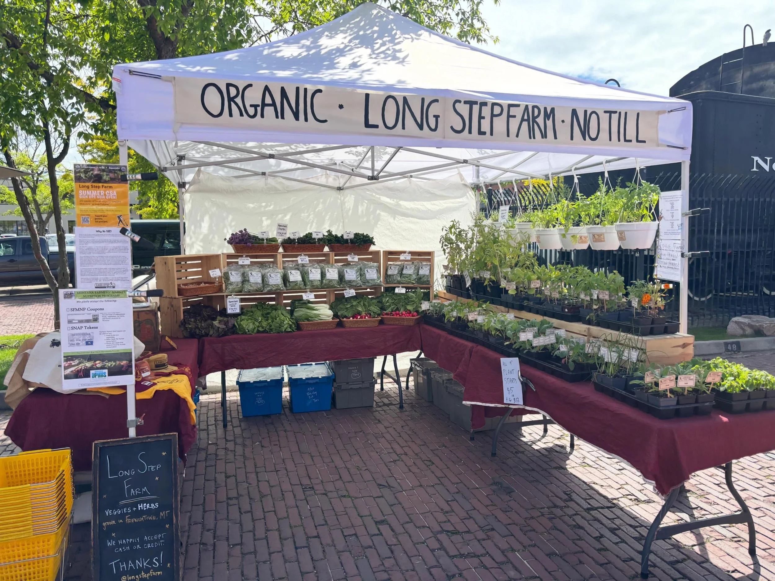 We&rsquo;re excited it&rsquo;s the first Tuesday evening market of the summer at the XXs @missoulafarmersmarket! We&rsquo;re here 5-7pm with fresh greens, lettuce, radish, bok choy, and herbs!
