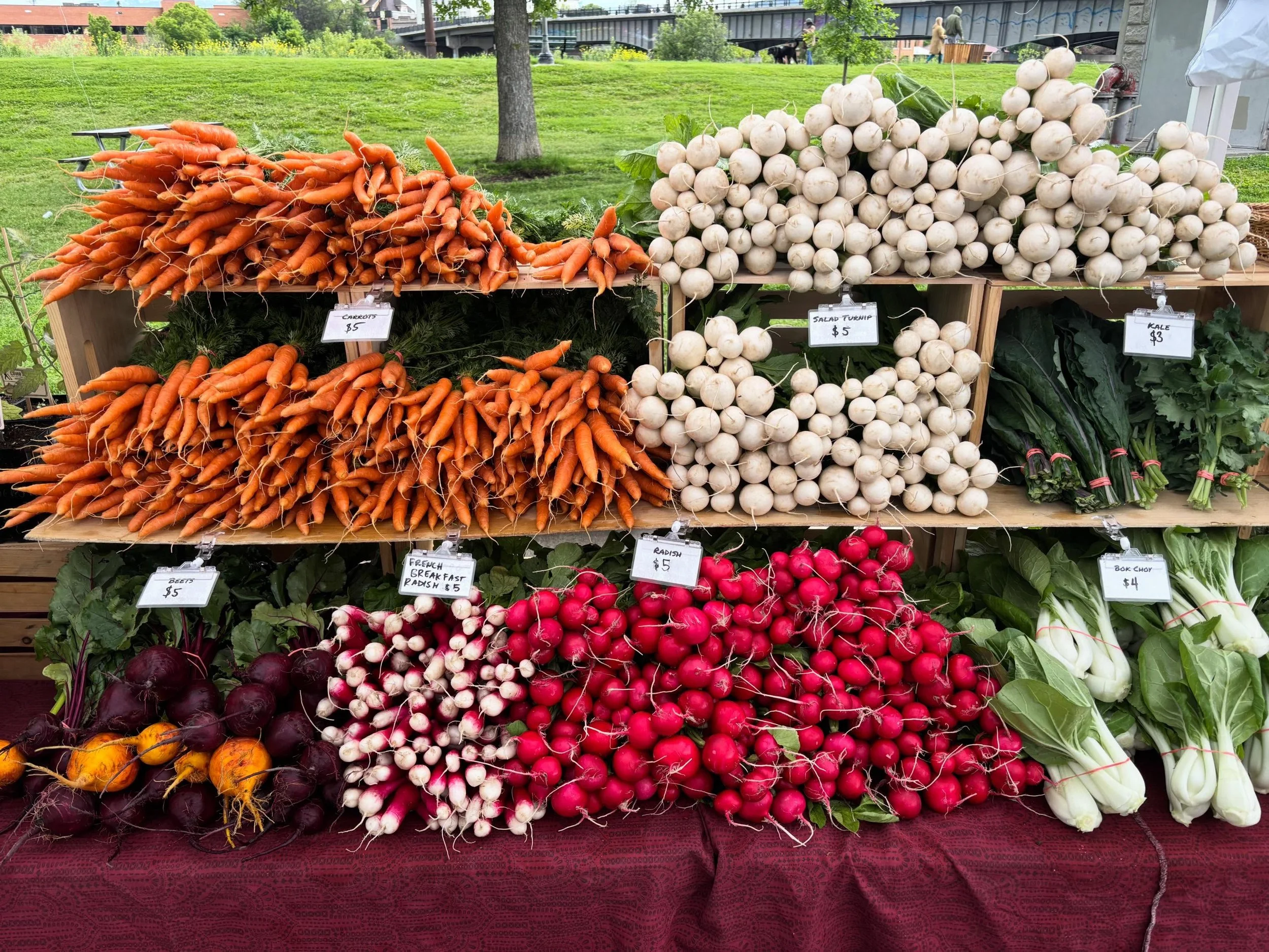 We&rsquo;re all set up @clarkforkrivermarket this sweet cloudy morning until 1pm with lots of new summer goodness. Come on by and get your weekly shopping done! ✨