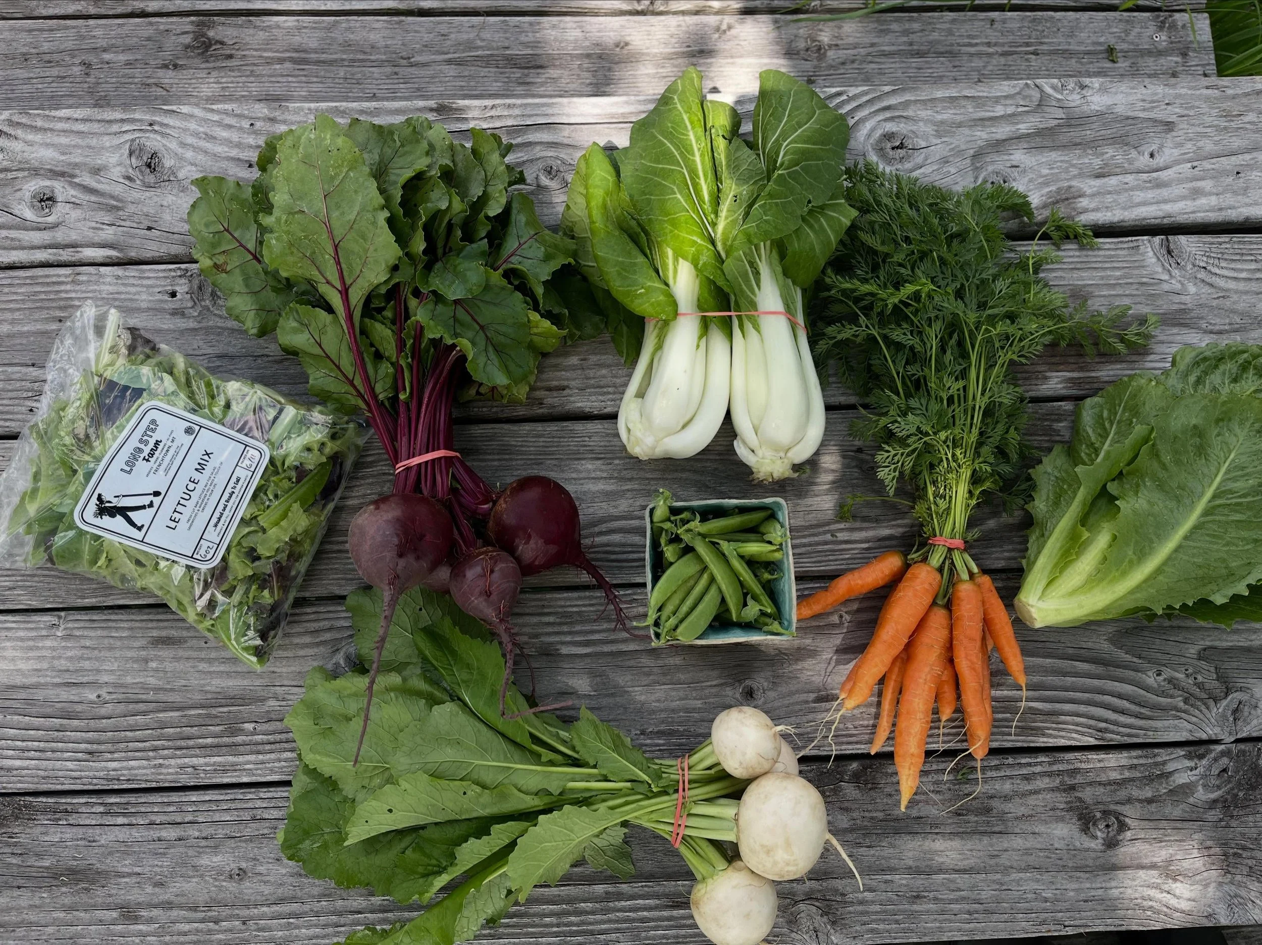 It&rsquo;s officially here! Summer CSA season is upon us and today our first shares went out to our members. Personal: lettuce mix, carrots, salad turnips, bok choy and mint. Family: lettuce mix, carrots, salad turnips, bok choy, beets, lettuce head 