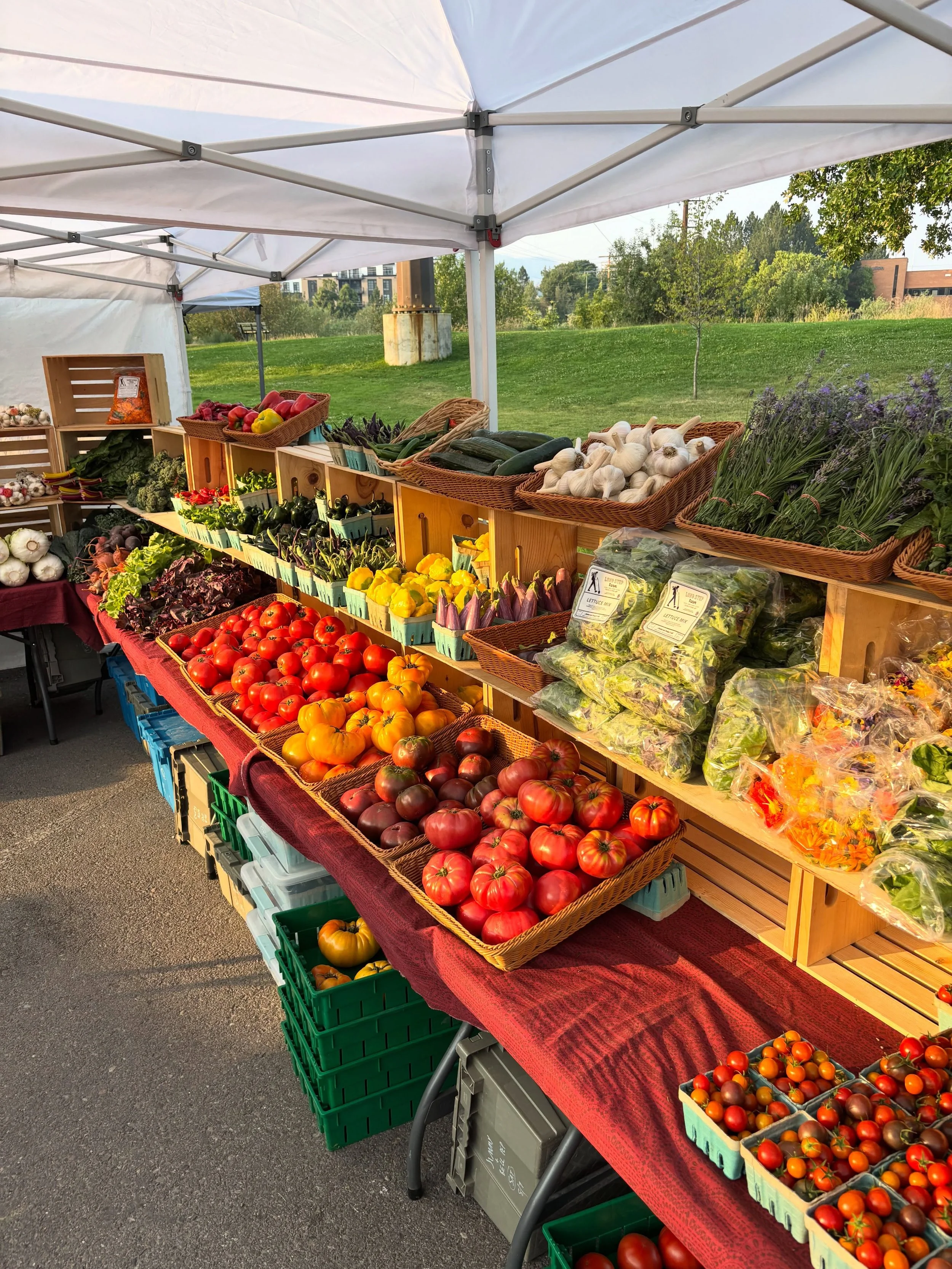 We&rsquo;re here @clarkforkrivermarket with lots of summer abundance until 1pm!