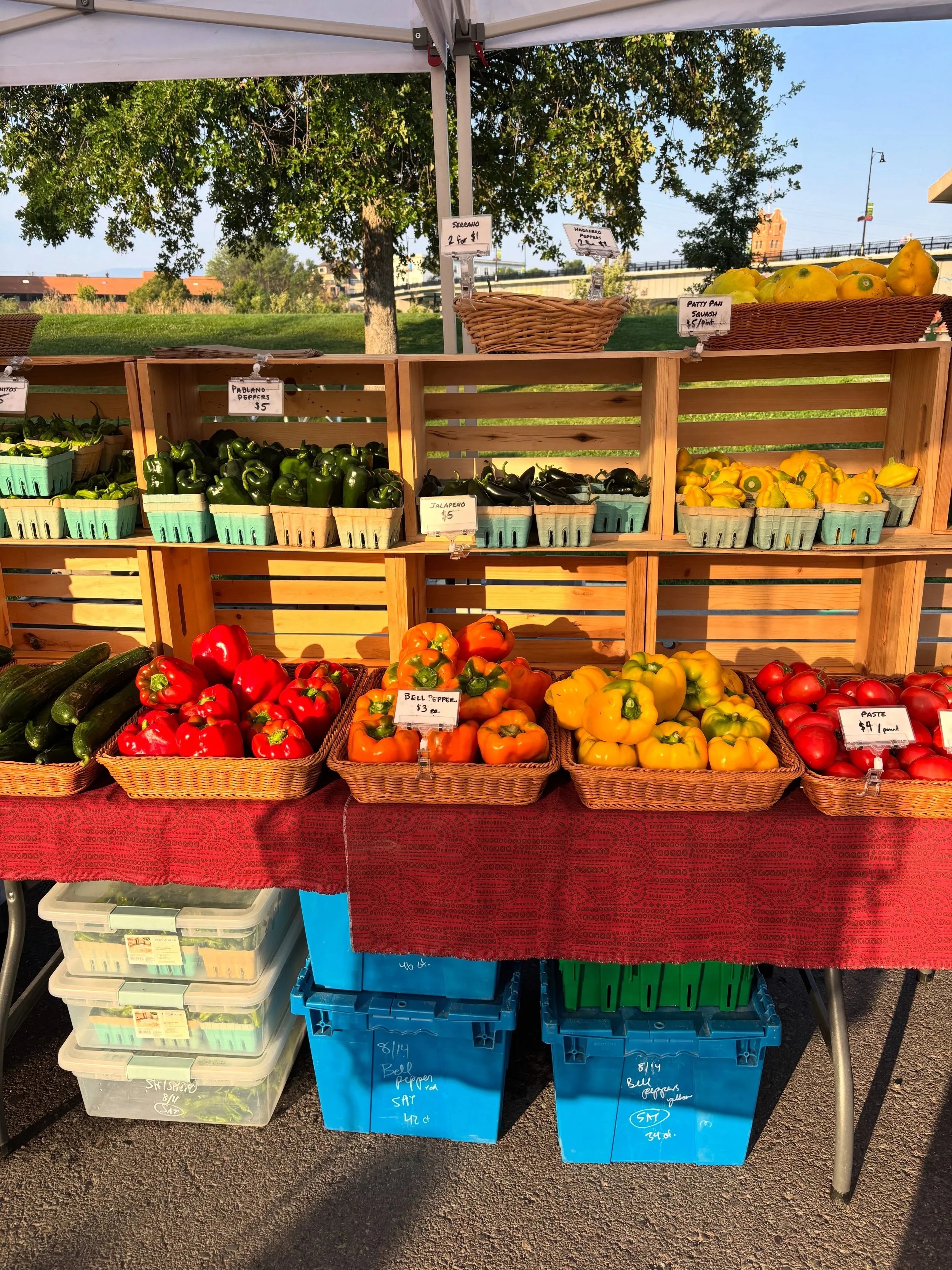 Come breathe some clear air this morning @clarkforkrivermarket! We don&rsquo;t have any heirlooms today but we&rsquo;re making up for it with all the colorful bell peppers and garlic braids. Here until 1pm!