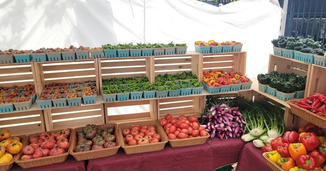 Tomatoes are back! Come find us @missoulafarmersmarket now until 7pm this evening ✨
